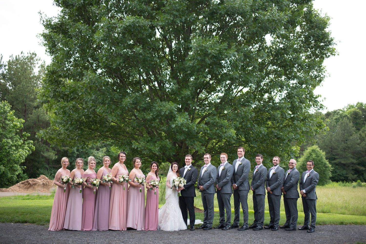 Wedding party poses outdoors with bridesmaids in pink gowns and groomsmen in gray suits before a large tree.