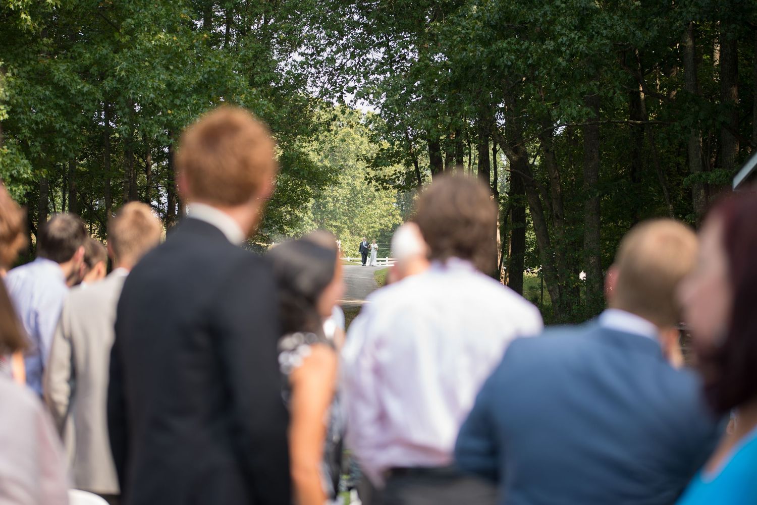 Wedding guests gathered outdoors along a tree-lined path watching a ceremony in the distance.