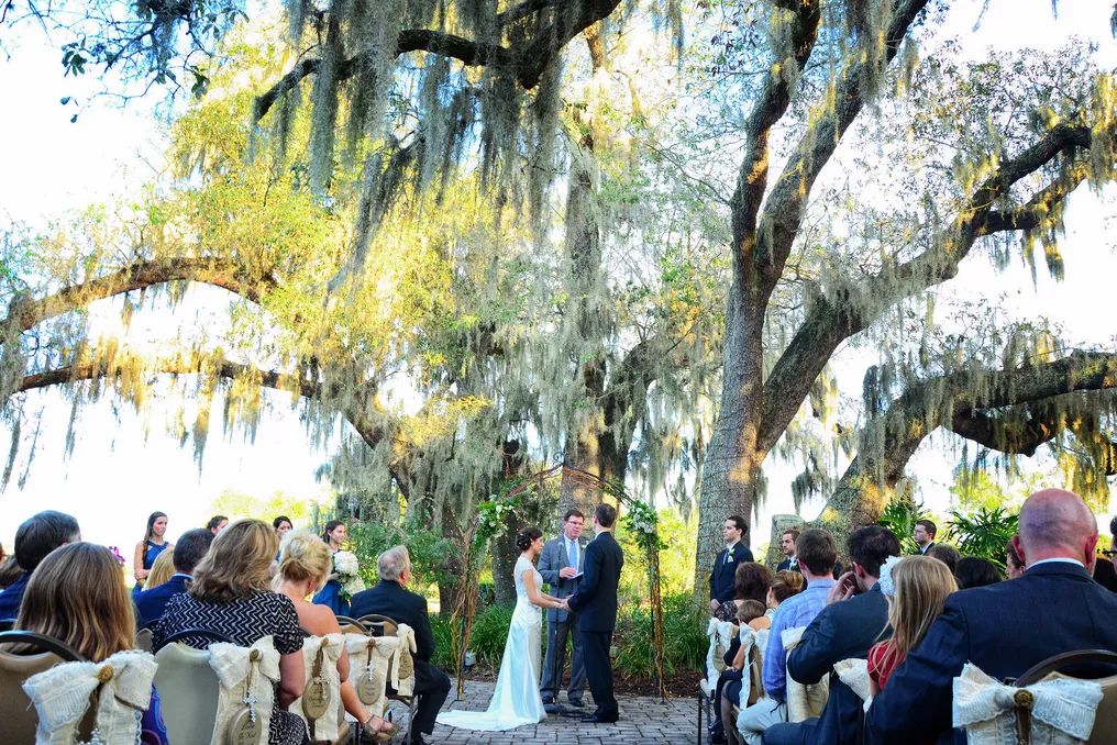 Outdoor wedding ceremony under sprawling oak tree draped with Spanish moss.