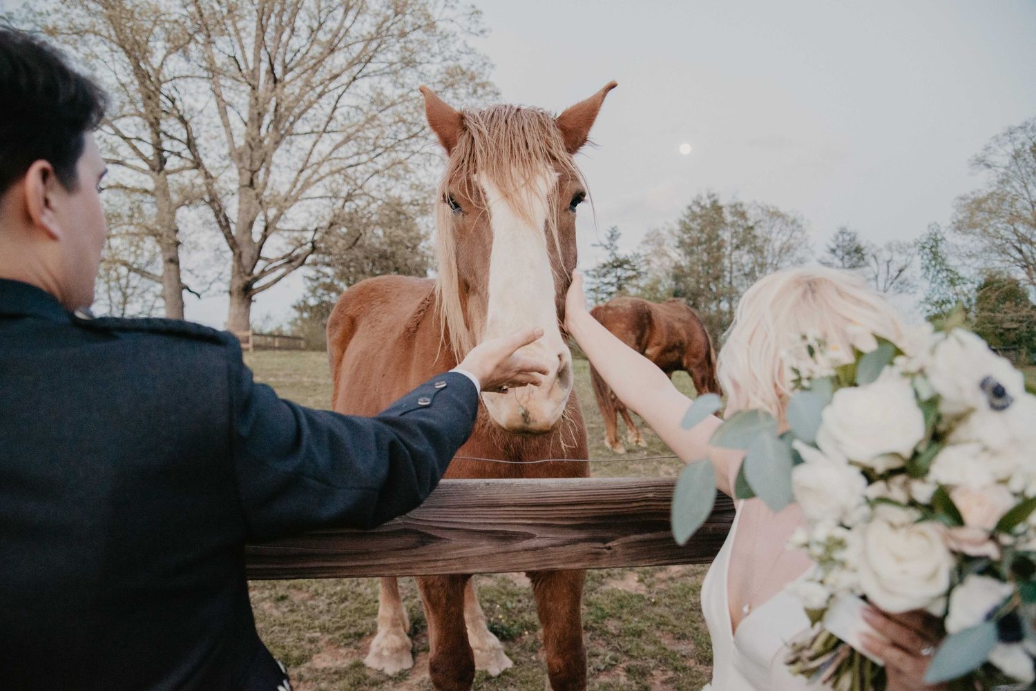 Wedding couple feeding a chestnut horse at a rustic farm venue, bride holding white floral bouquet.