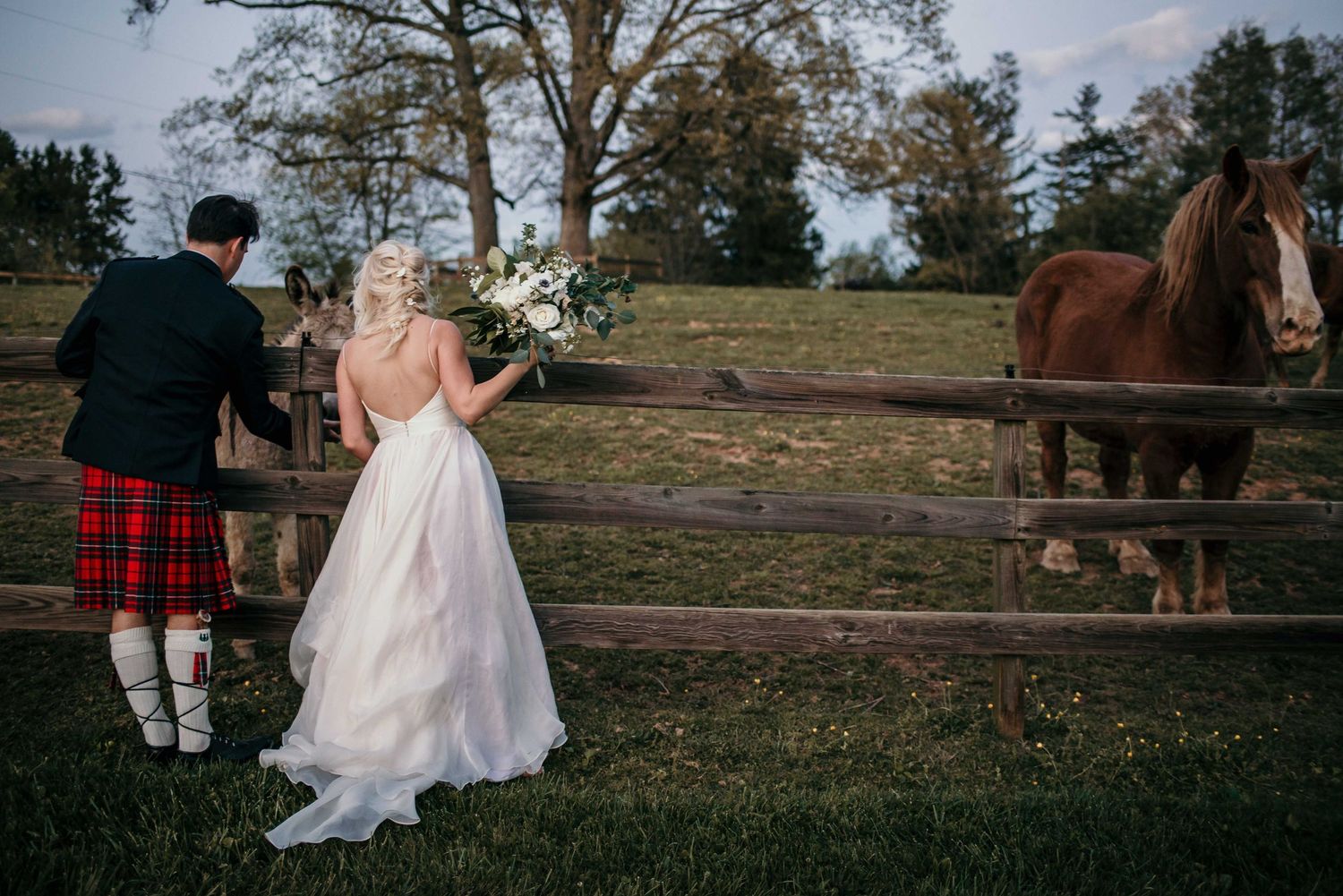 Bride and groom in Scottish kilt viewing horses at a fence on their rustic outdoor wedding day.