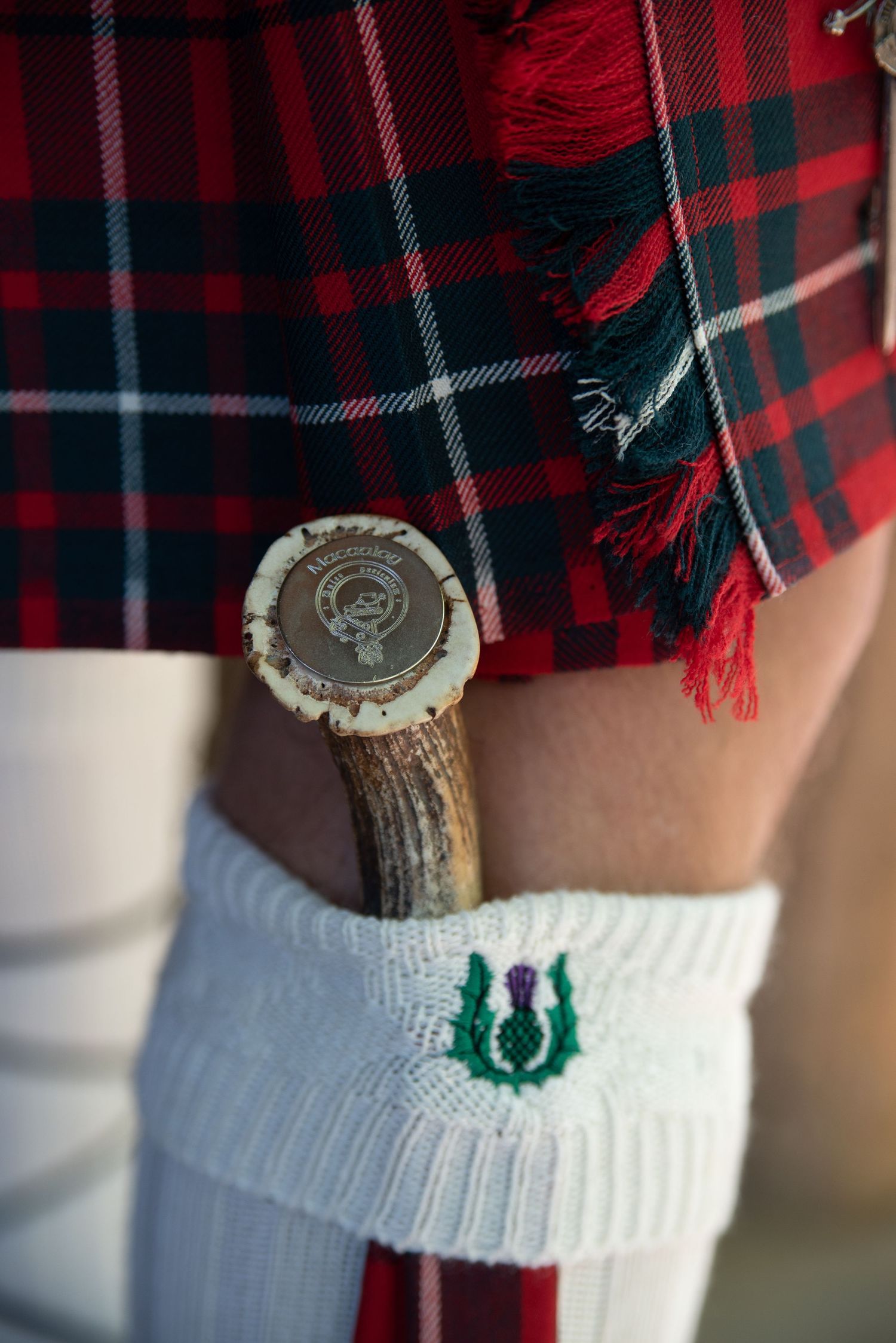 Close-up of traditional Scottish kilt accessory, sgian-dubh tucked into white kilt hose with embroidered thistle detail.