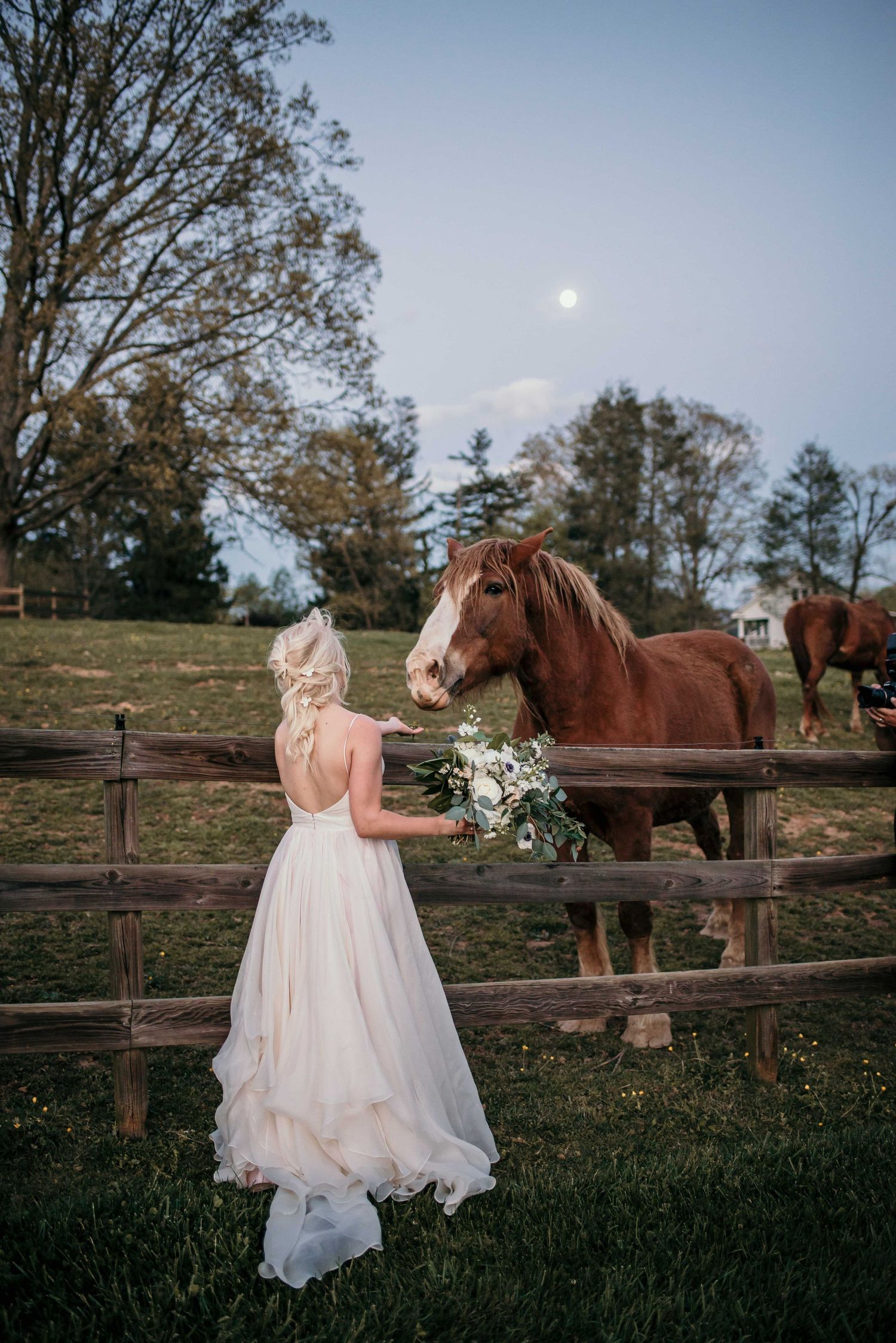 Bride in backless white gown offers bouquet to chestnut horse at wooden fence under full moon at farm wedding.