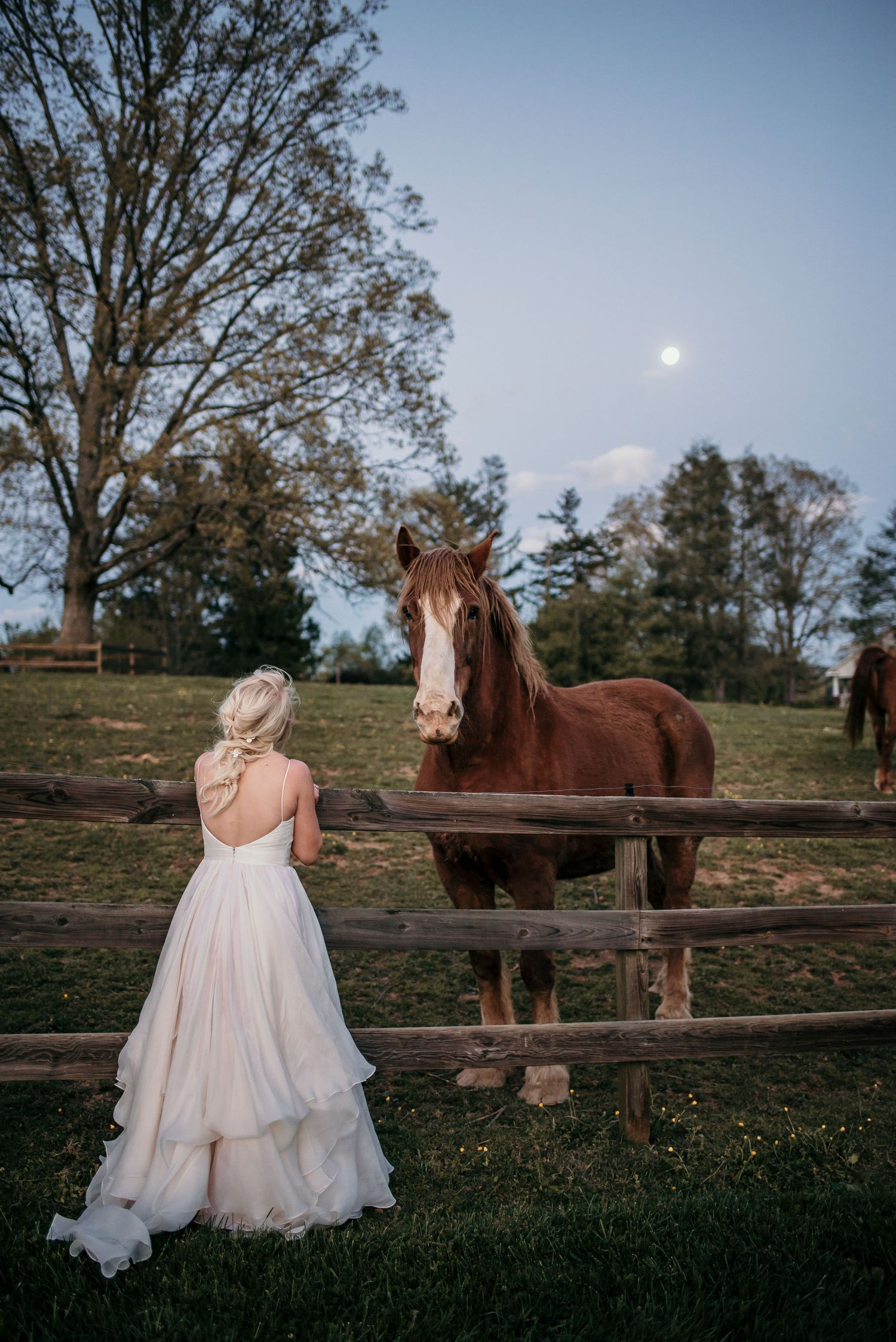 Bride in backless wedding gown standing by fence with brown horse under full moon.