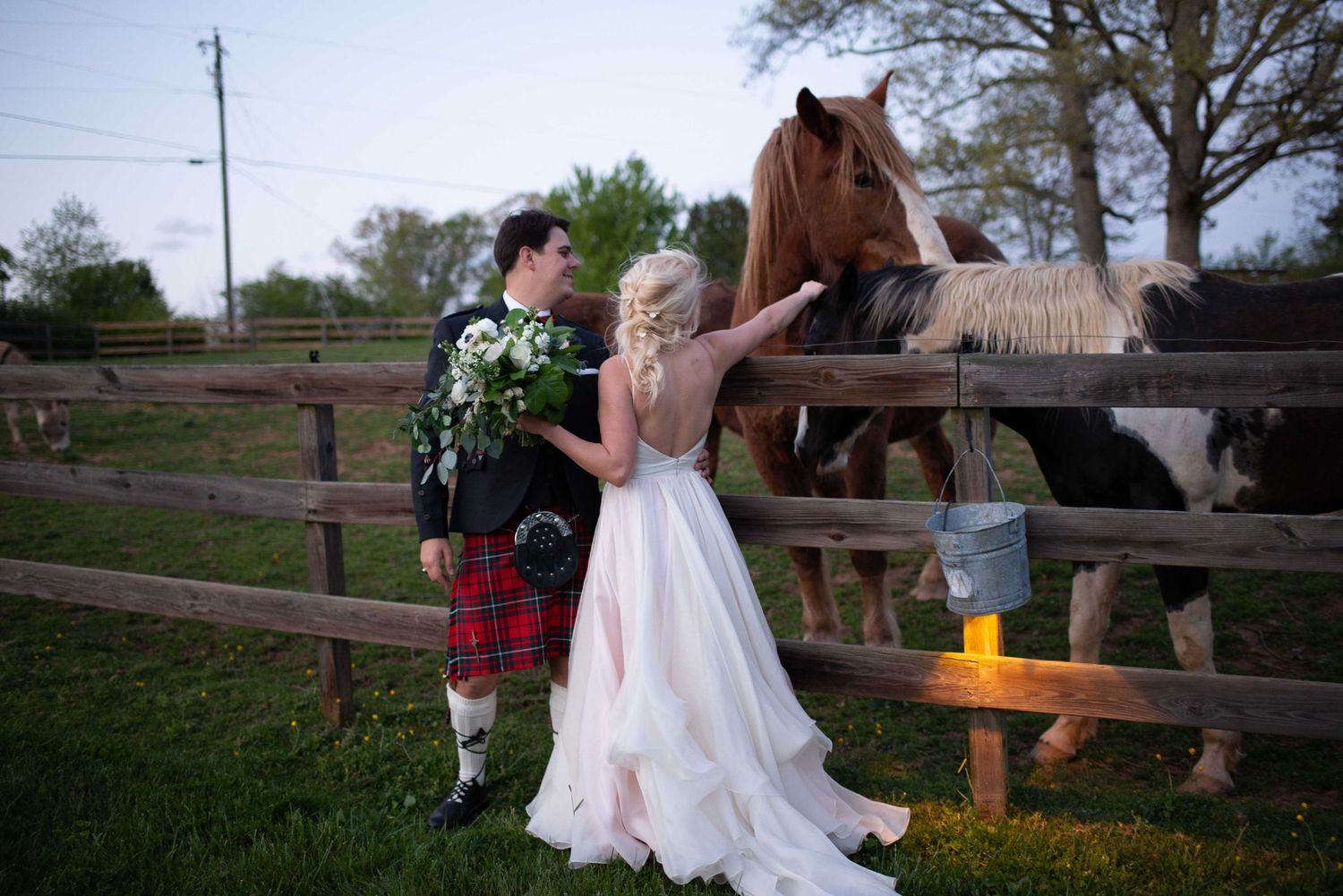 Bride in white gown and groom in Scottish kilt feed horses at a rustic farm fence during their wedding celebration.