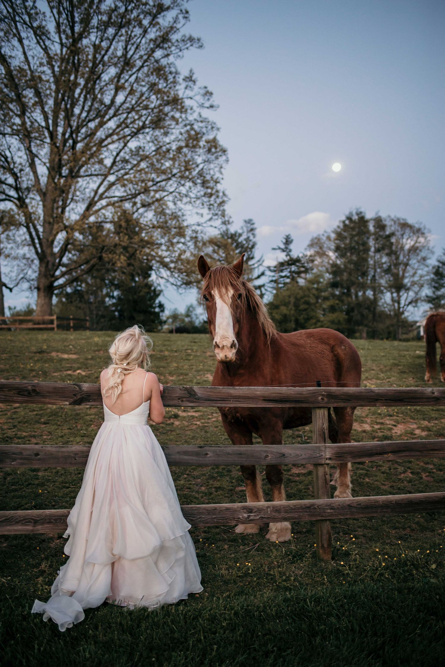 Bride in white gown stands by rustic fence with chestnut horse under full moon at dusk on farm.