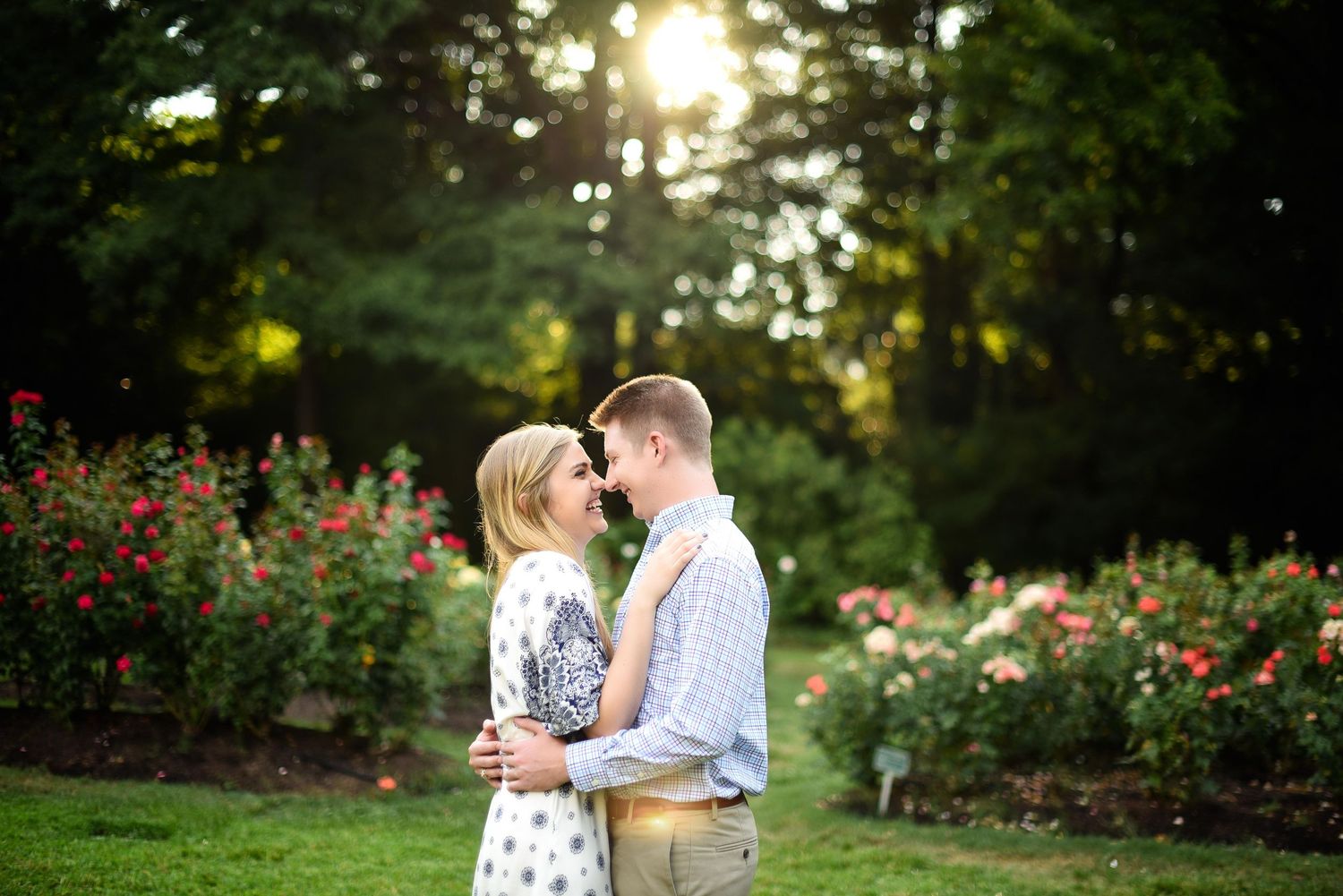 Couple embracing in a sunlit garden with colorful rose bushes, sharing a romantic moment outdoors.