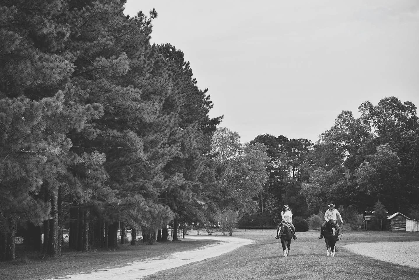 Black and white photo of two people riding horses down a tree-lined country road.