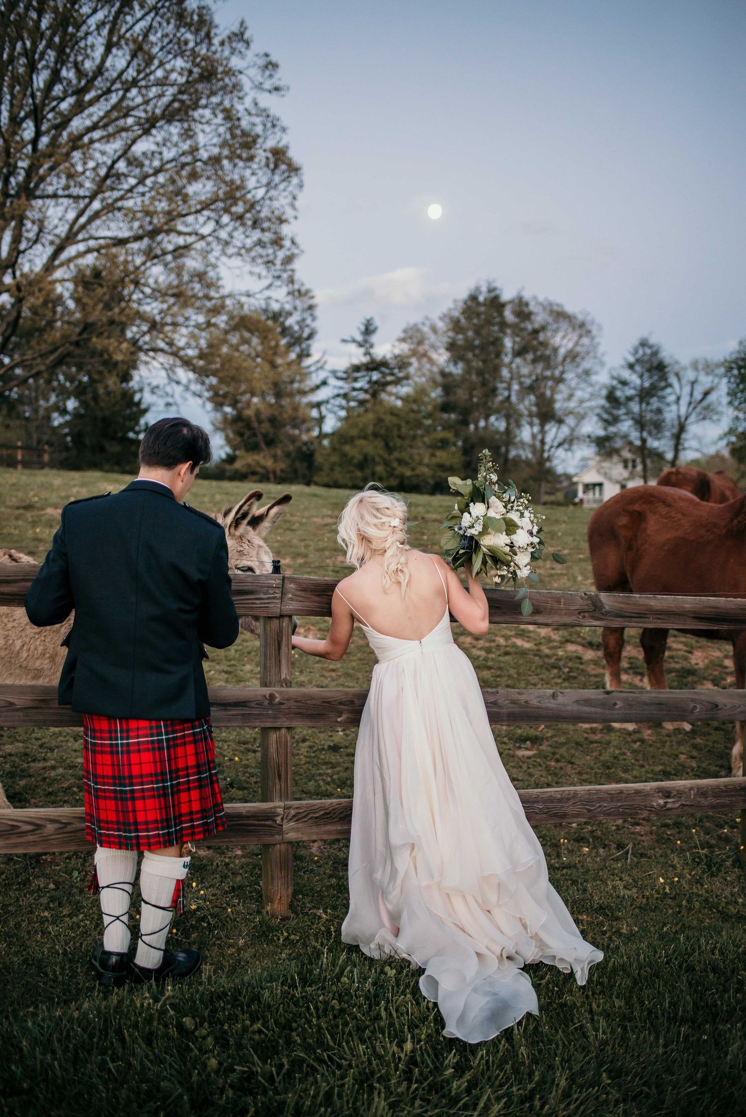 Wedding couple in tartan kilt and white gown feed animals at rustic farm fence beneath a full moon.