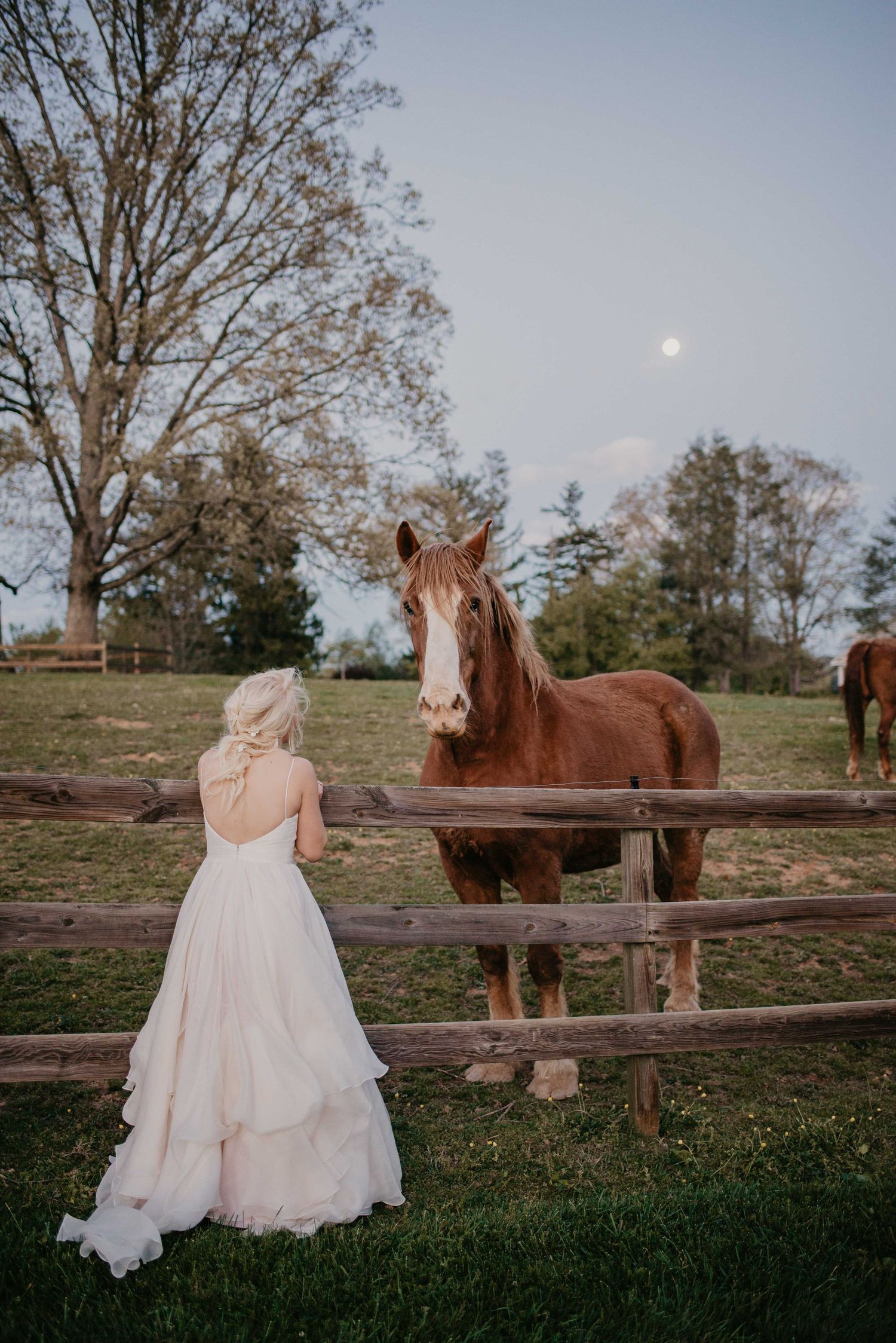Bride in white gown stands by rustic fence with chestnut horse under full moon at dusk on farm.