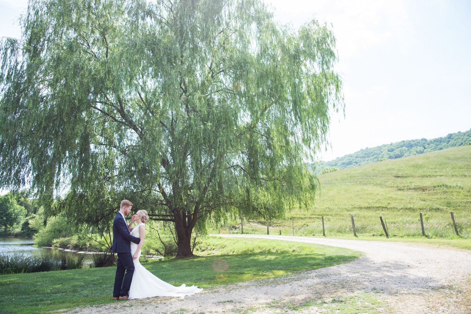 Wedding couple embracing near a weeping willow tree beside a pond in a scenic green countryside.