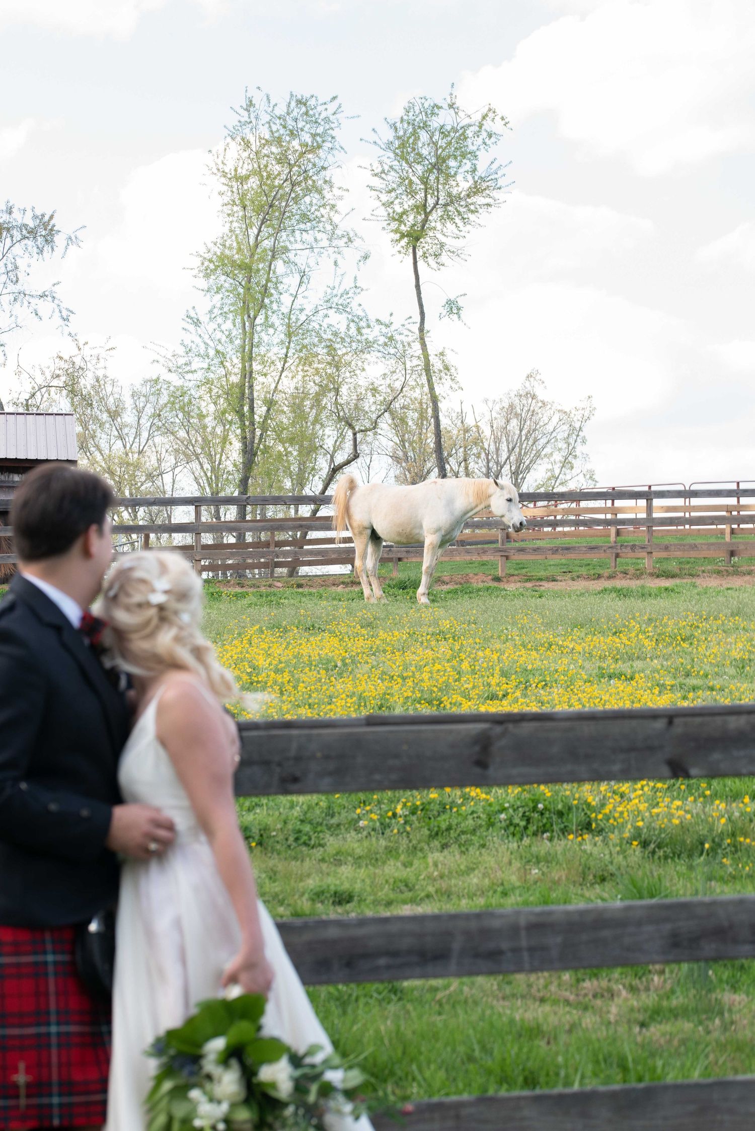Bride and groom in Scottish kilt watch a white horse graze in a flower-filled pasture at a rustic farm wedding.