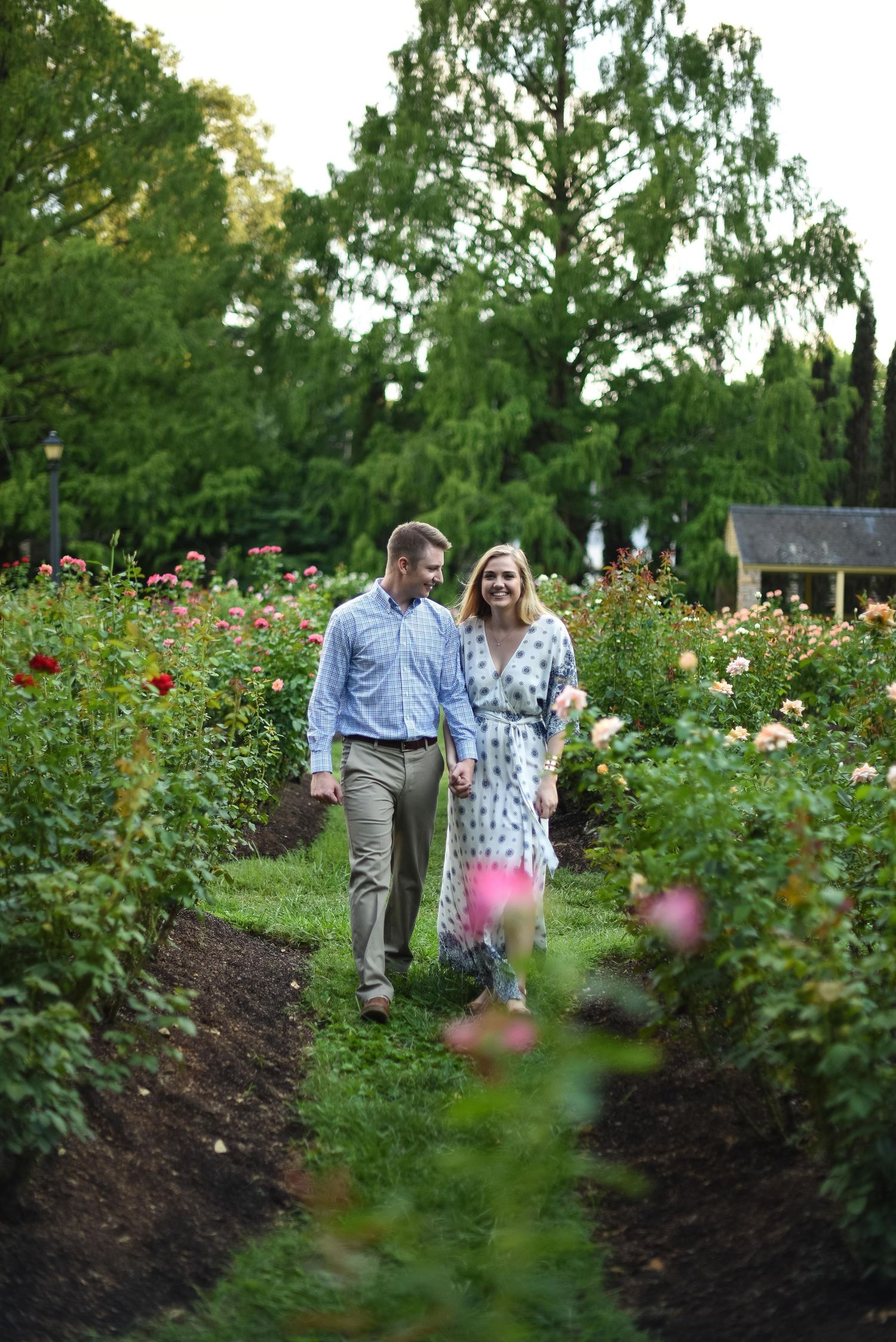 Couple walking hand in hand through a blooming rose garden with colorful flowers and green trees.