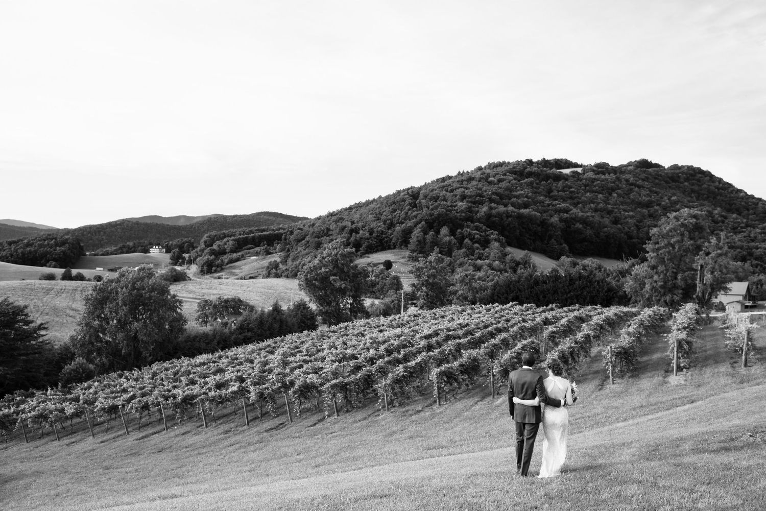 Bride and groom walking hand in hand through a scenic vineyard in black and white.