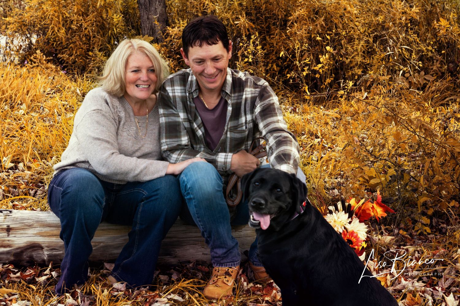 Couple smiling with black Labrador dog on autumn log surrounded by golden fall foliage in outdoor portrait.