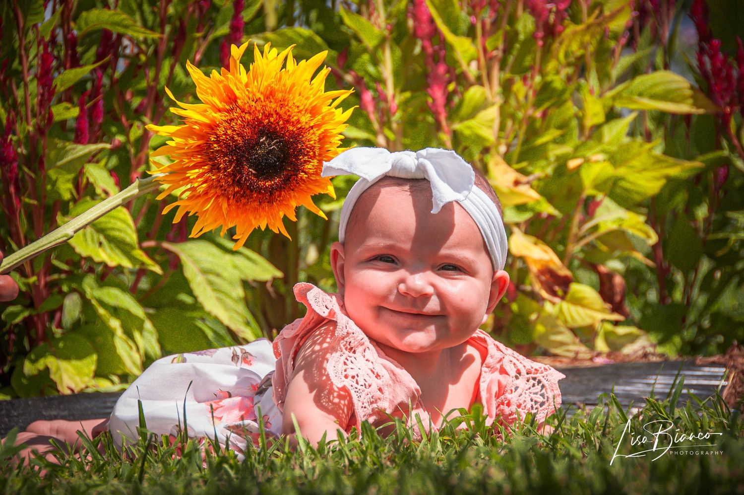 Family Photographer Amsterdam NY | Portrait SessionsBeautiful, natural outdoor family photography in Upstate New York. Book your next family