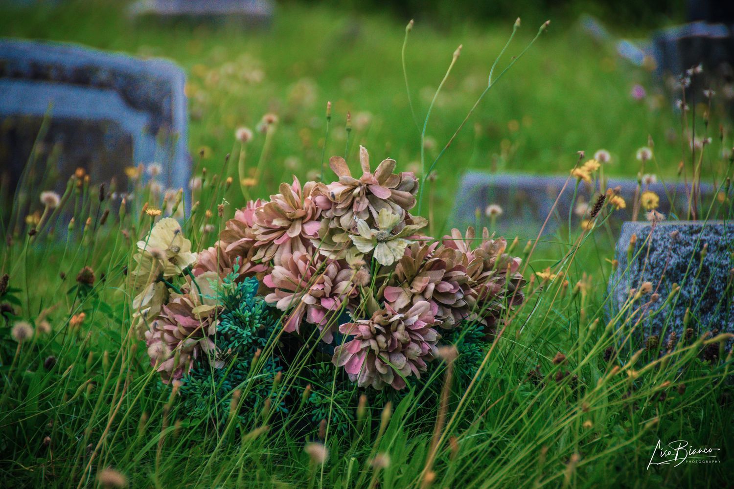 Faded artificial flowers rest among wild grass and dandelions in an overgrown cemetery with weathered headstones.