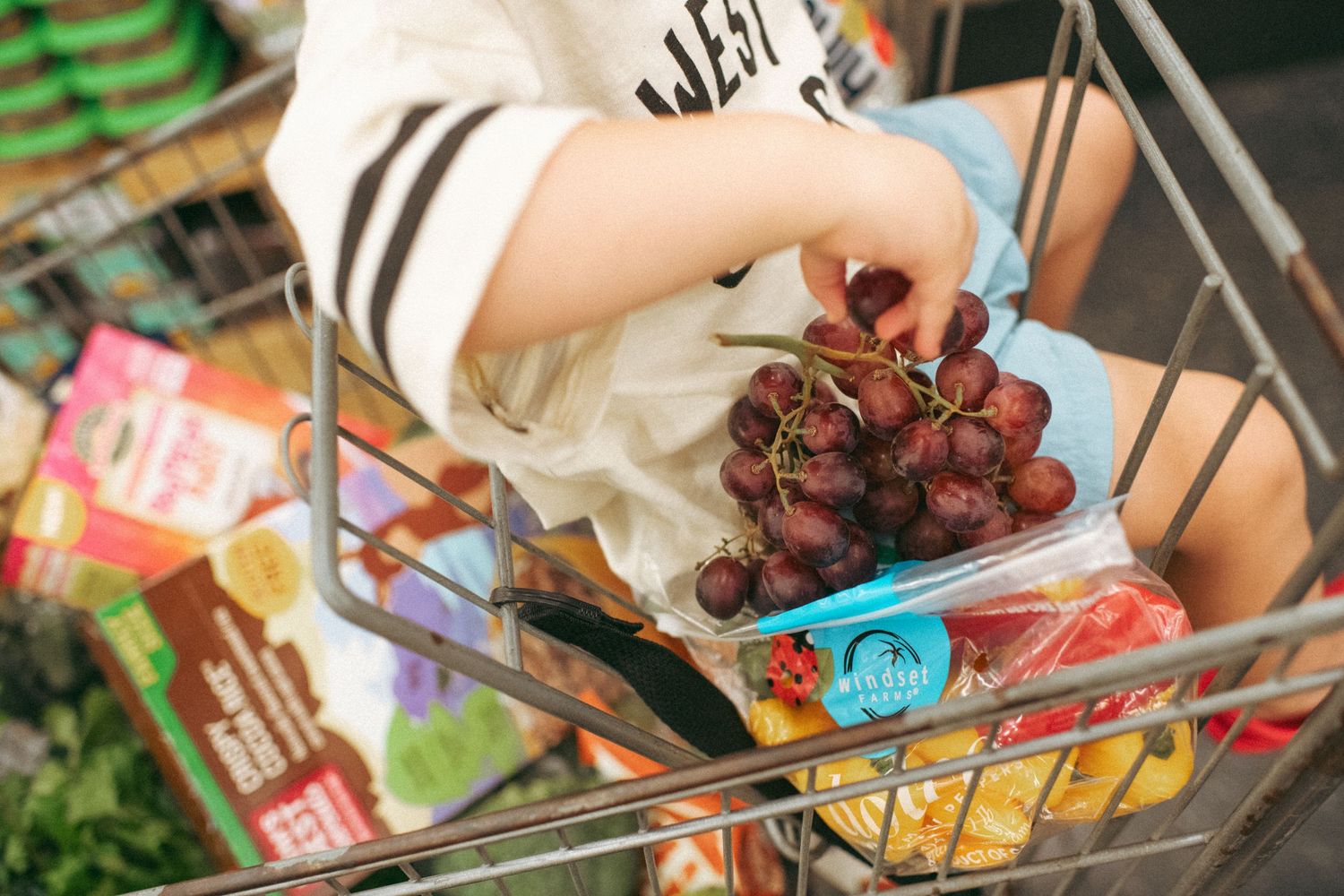 Child sitting in a grocery cart holding a bunch of fresh red grapes while shopping for produce.