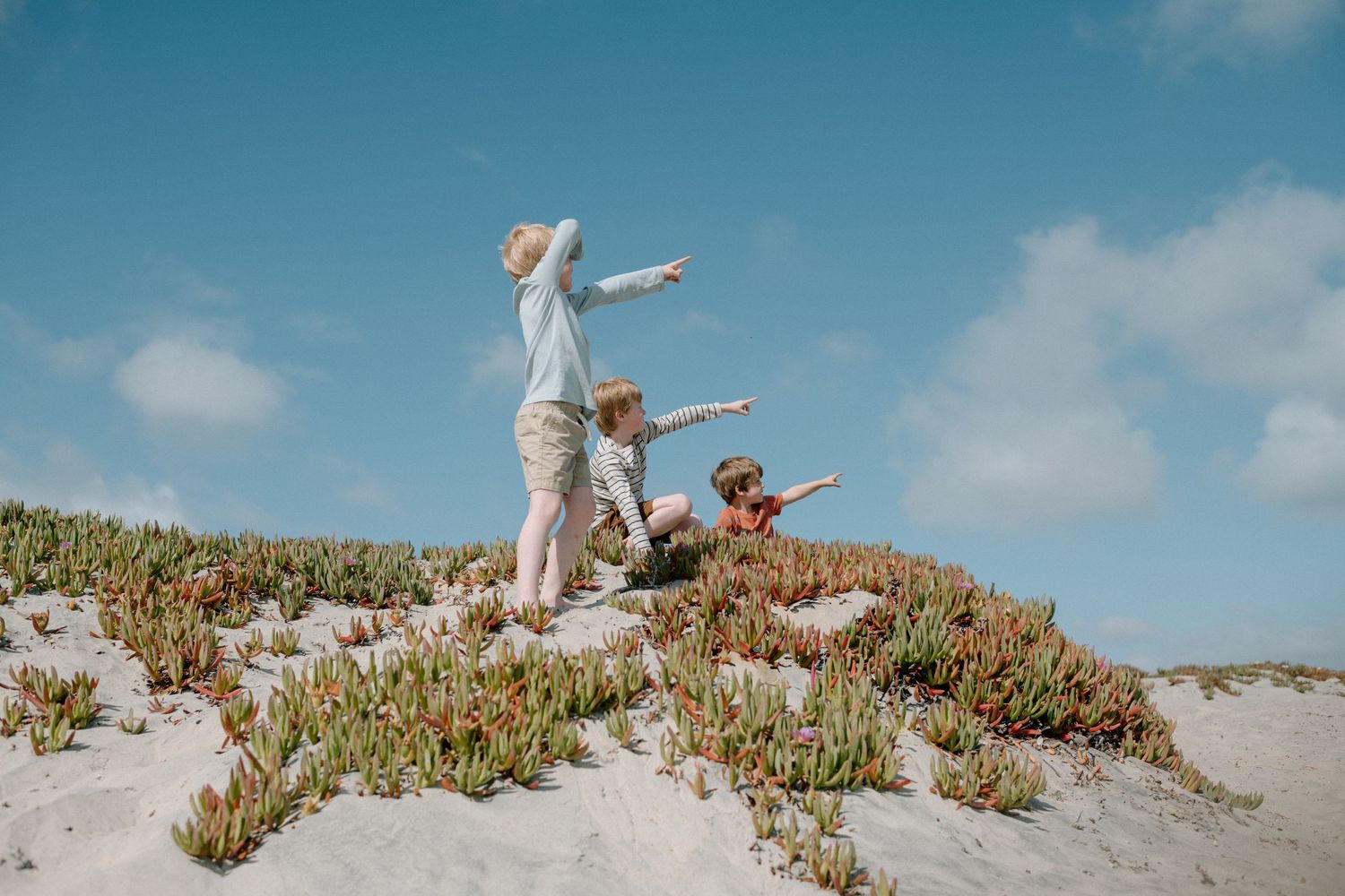 Family with children exploring sandy dunes with coastal plants under a bright blue sky.