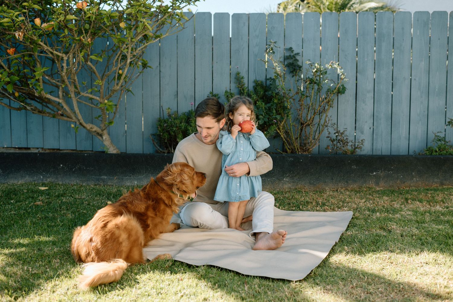 A father sits with his young daughter on a blanket in a backyard with their golden dog.