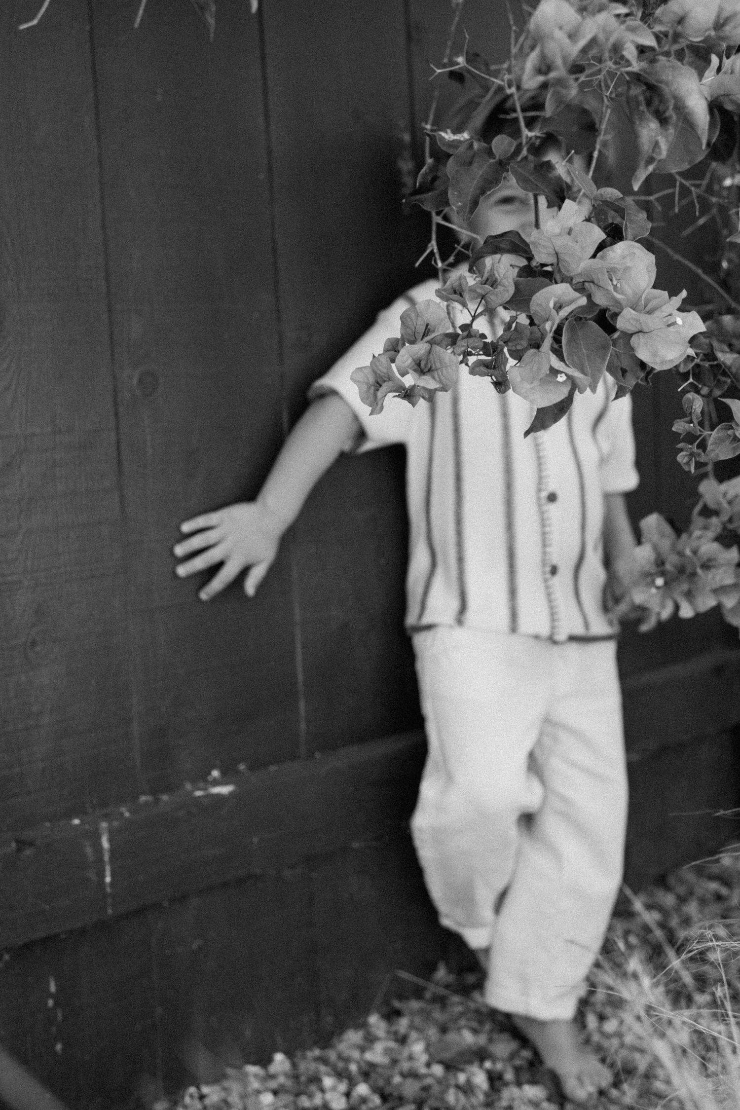 Black and white photo of a child leaning against a wooden fence with flowering branches covering their face.