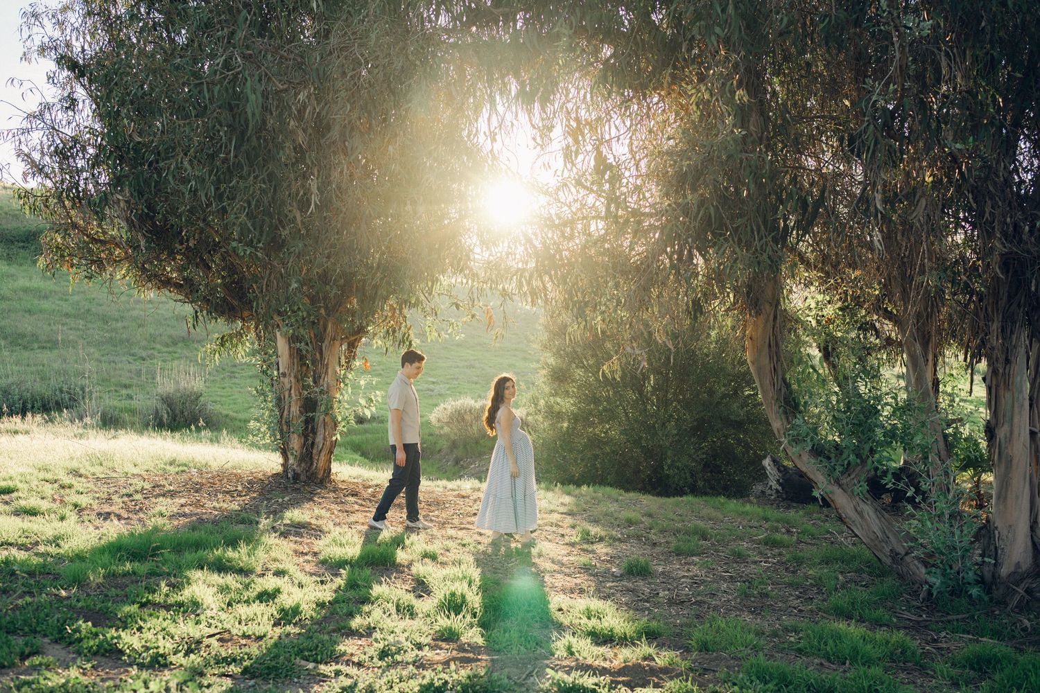 A couple holds hands walking through a sunlit grove of trees in a green meadow.