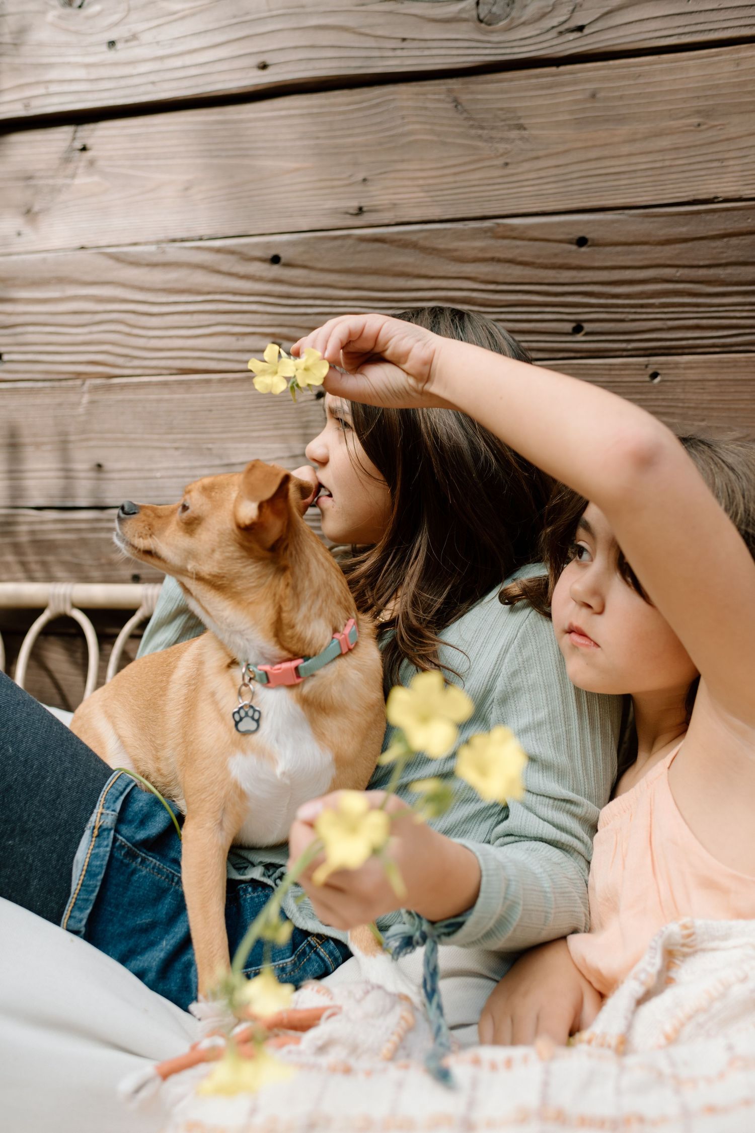 Two young girls sit with a small dog, holding yellow flowers against a wooden wall.