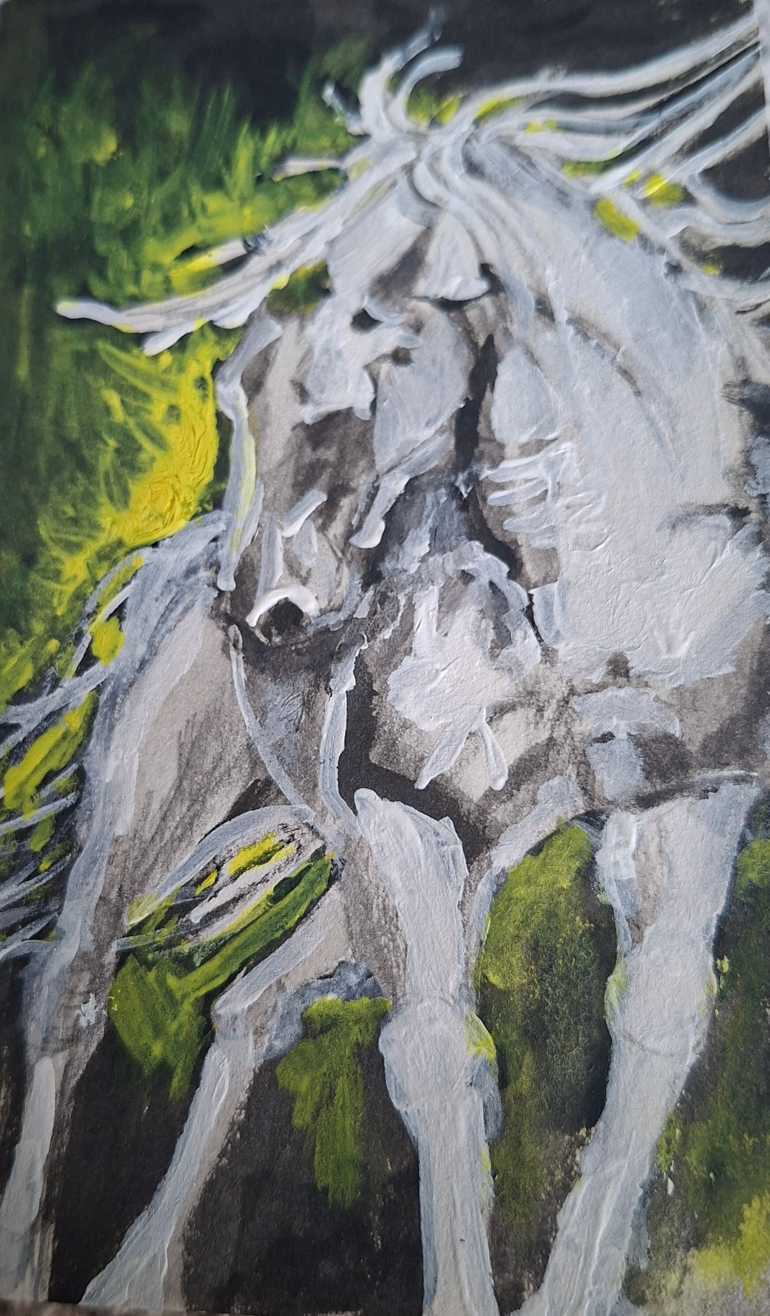 Playful Gray Horse, Scotlamd, orginial painting. Watercolor and Acrylic