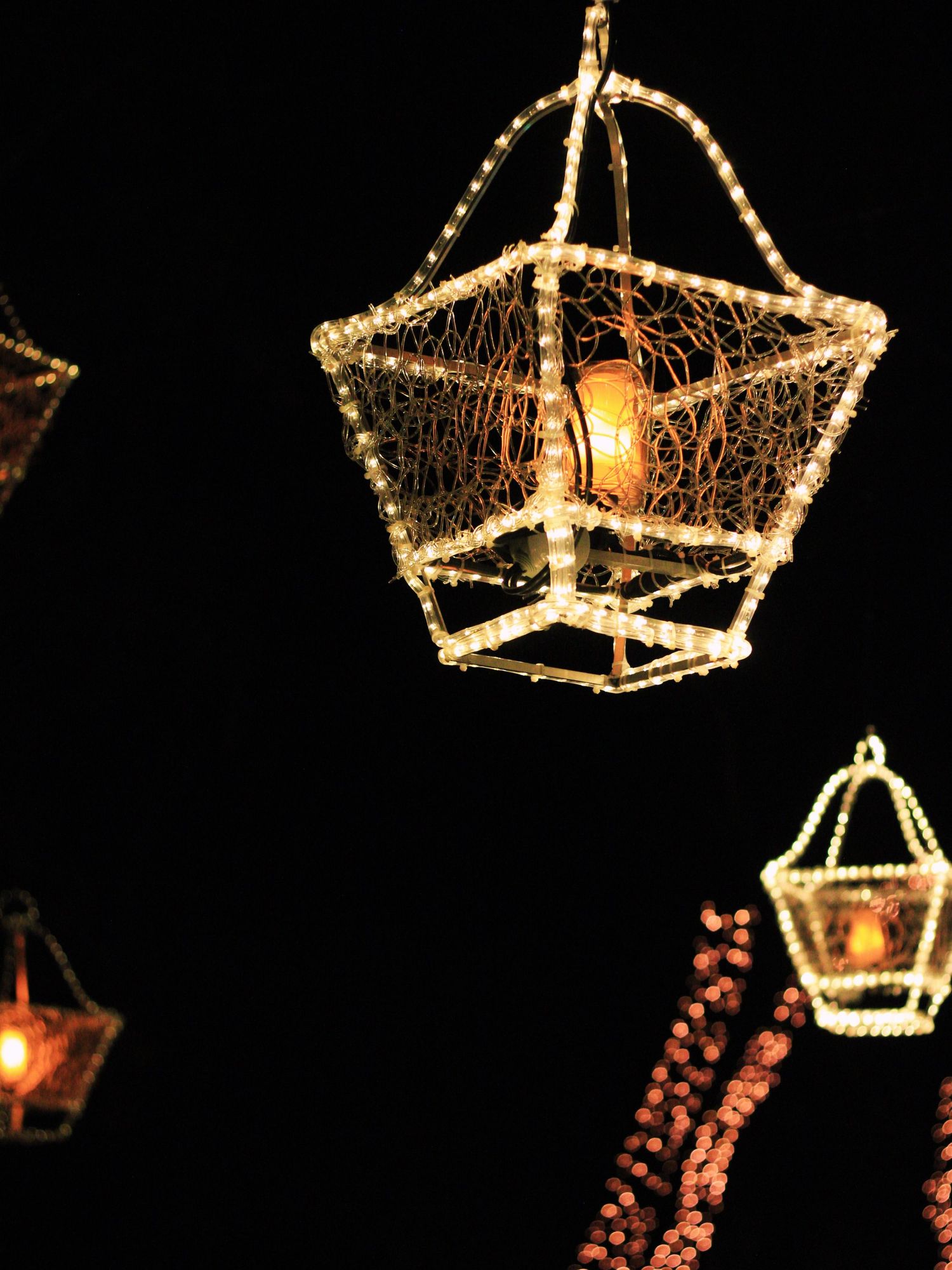 Decorative wire mesh lanterns with warm glowing Edison bulbs hanging against a dark night sky.