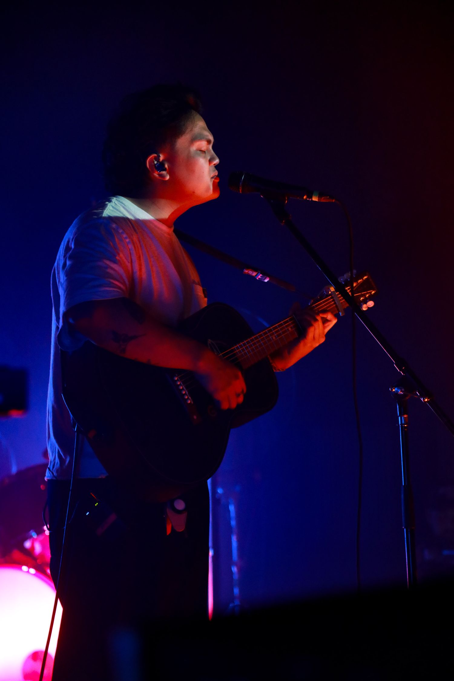 Singer at a concert