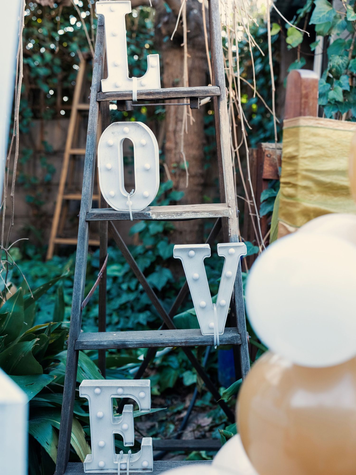 Illuminated LOVE marquee letters displayed on rustic ladder in garden setting. Babyshower Photoshoot