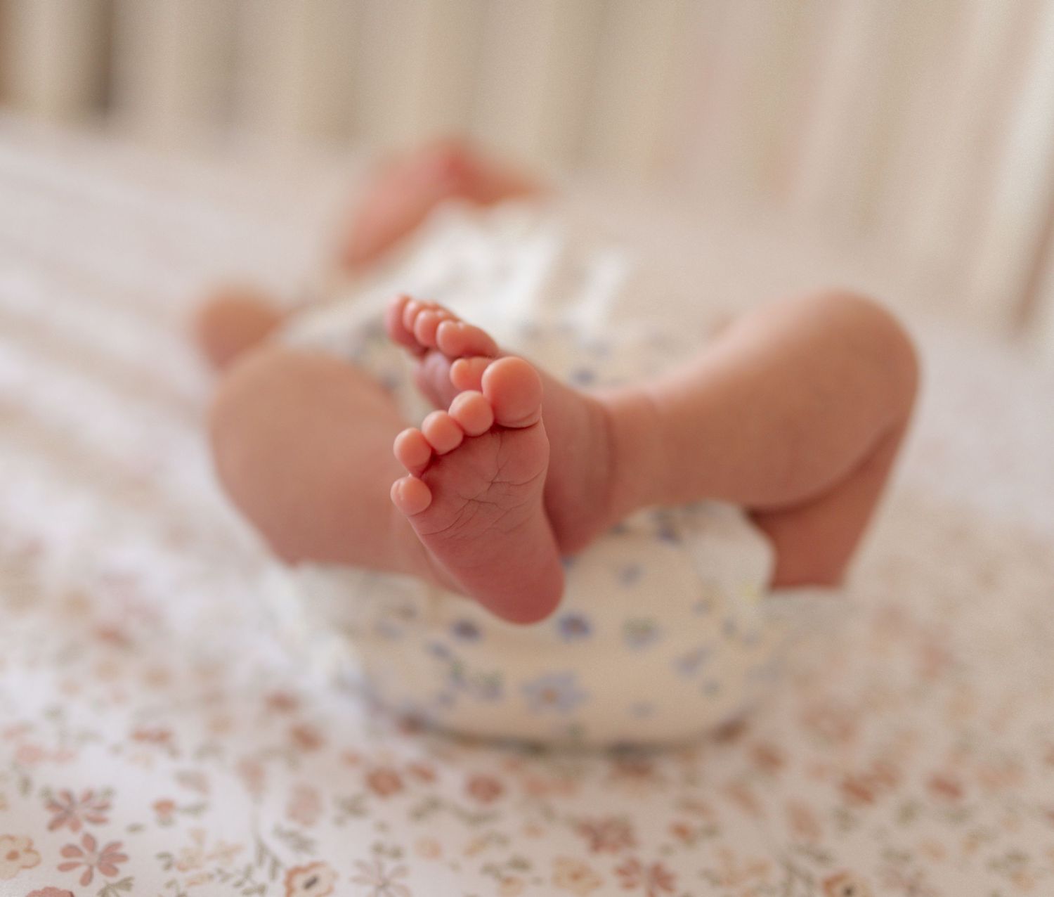 Best wentzville newborn photography near me