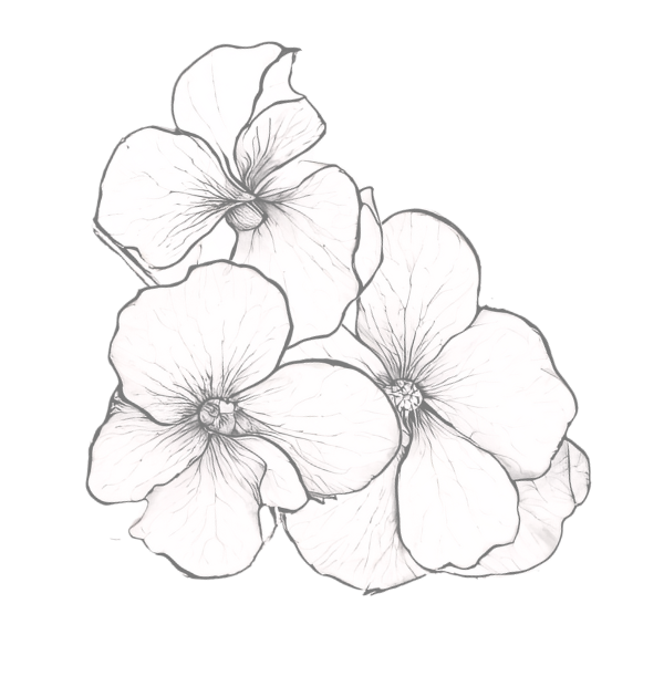 Trio of delicately sketched flowers arranged in a graceful cluster with overlapping petals.