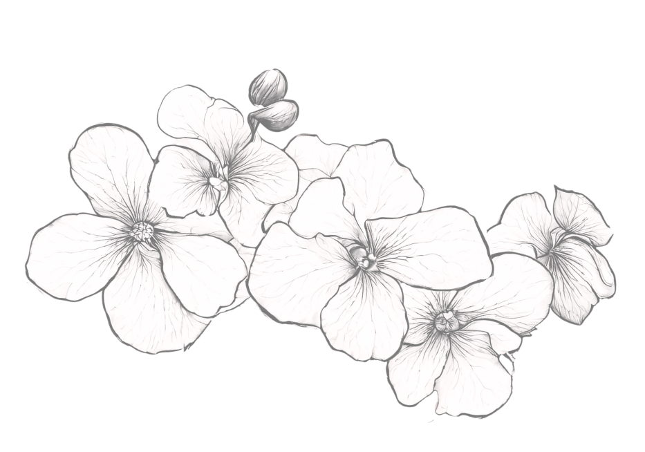 Row of delicate flower sketches with detailed petals and centers.
