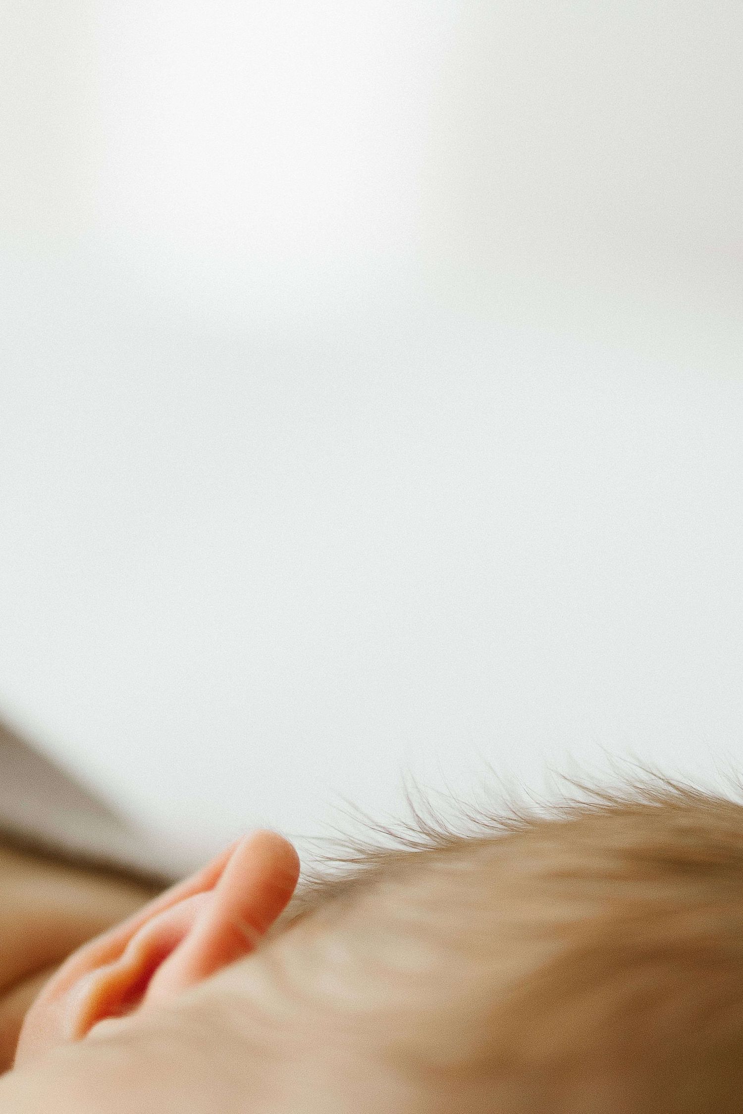 Babyfotoshooting Thurgau, Newborn Shooting, Familienfotografie