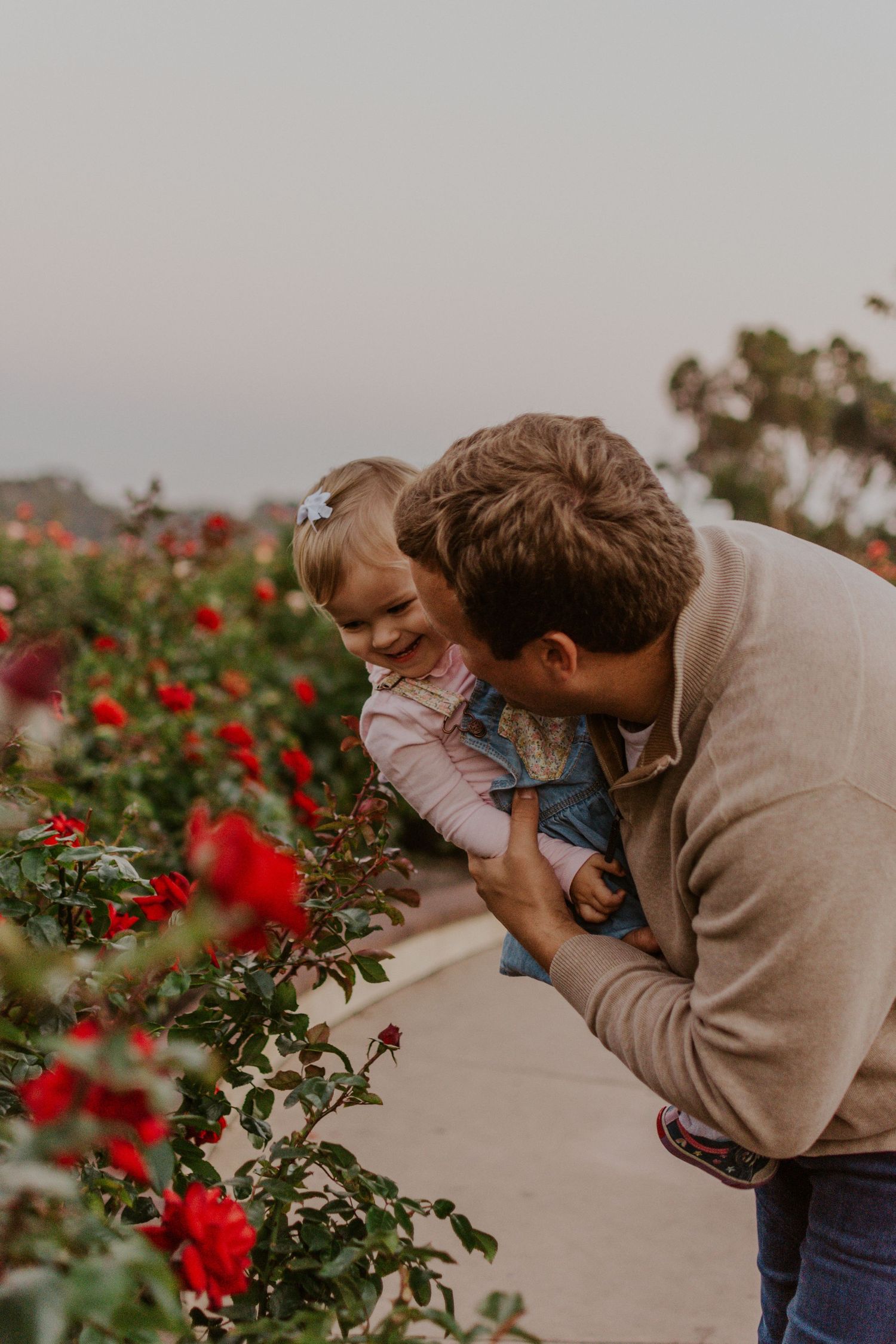 Golden hour family session in a garden with parent and child sharing a joyful moment near blooming red roses.
