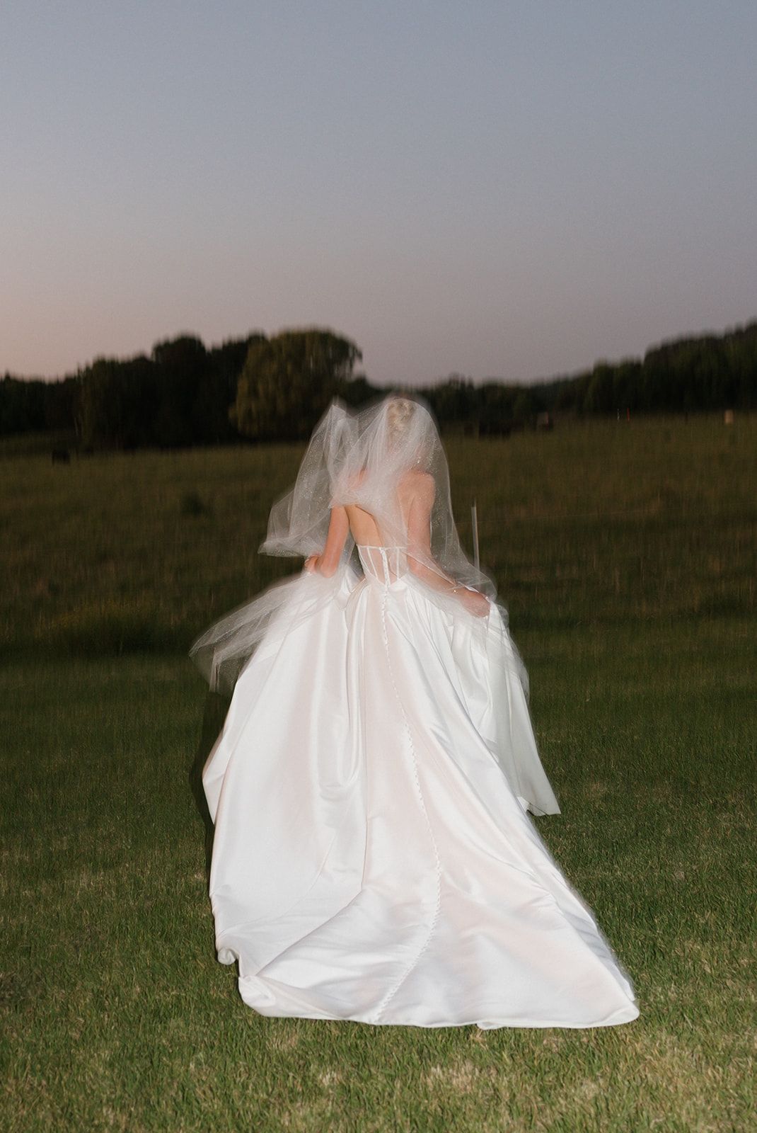 A bride in a flowing white wedding gown and veil stands in a grassy field at dusk.