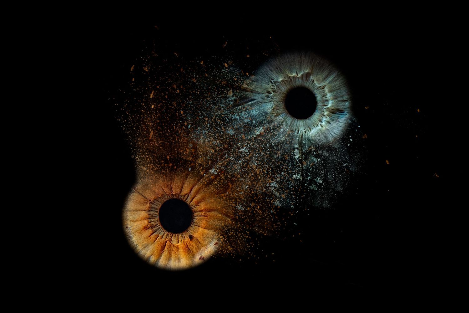 Œuvre artistique composée de deux iris, symbole d'un lien unique entre deux personnes.
