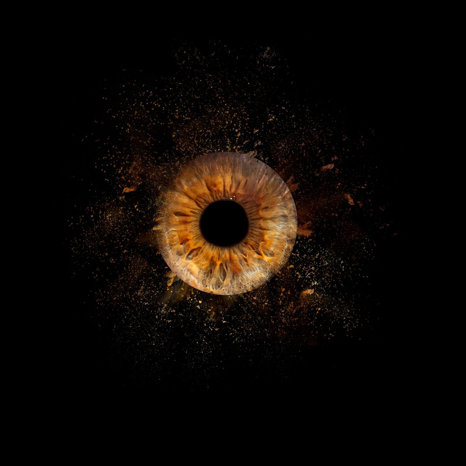 Portrait artistique d'un iris révélant les détails uniques et les couleurs fascinantes de l'œil.