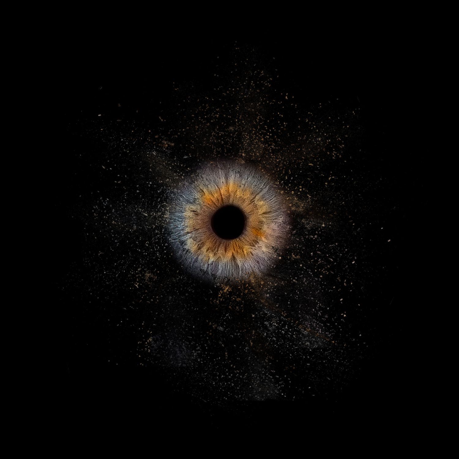 Photographie d'un iris transformée en une création artistique personnalisée mettant en valeur toute sa singularité.