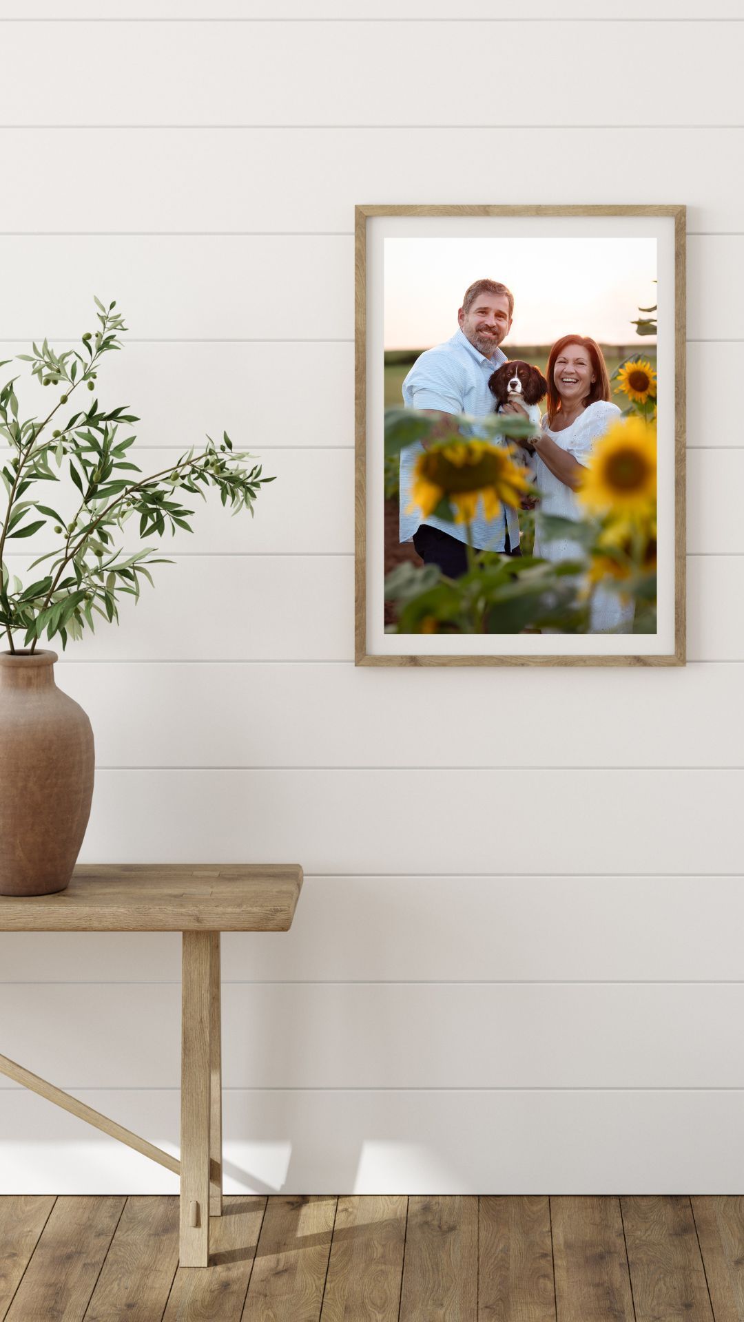 White shiplap wall with wooden bench and framed portrait of family and their dog in sunflower field.