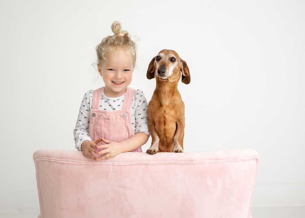 Young child and brown dachshund dog pose together on pink couch in studio setting.