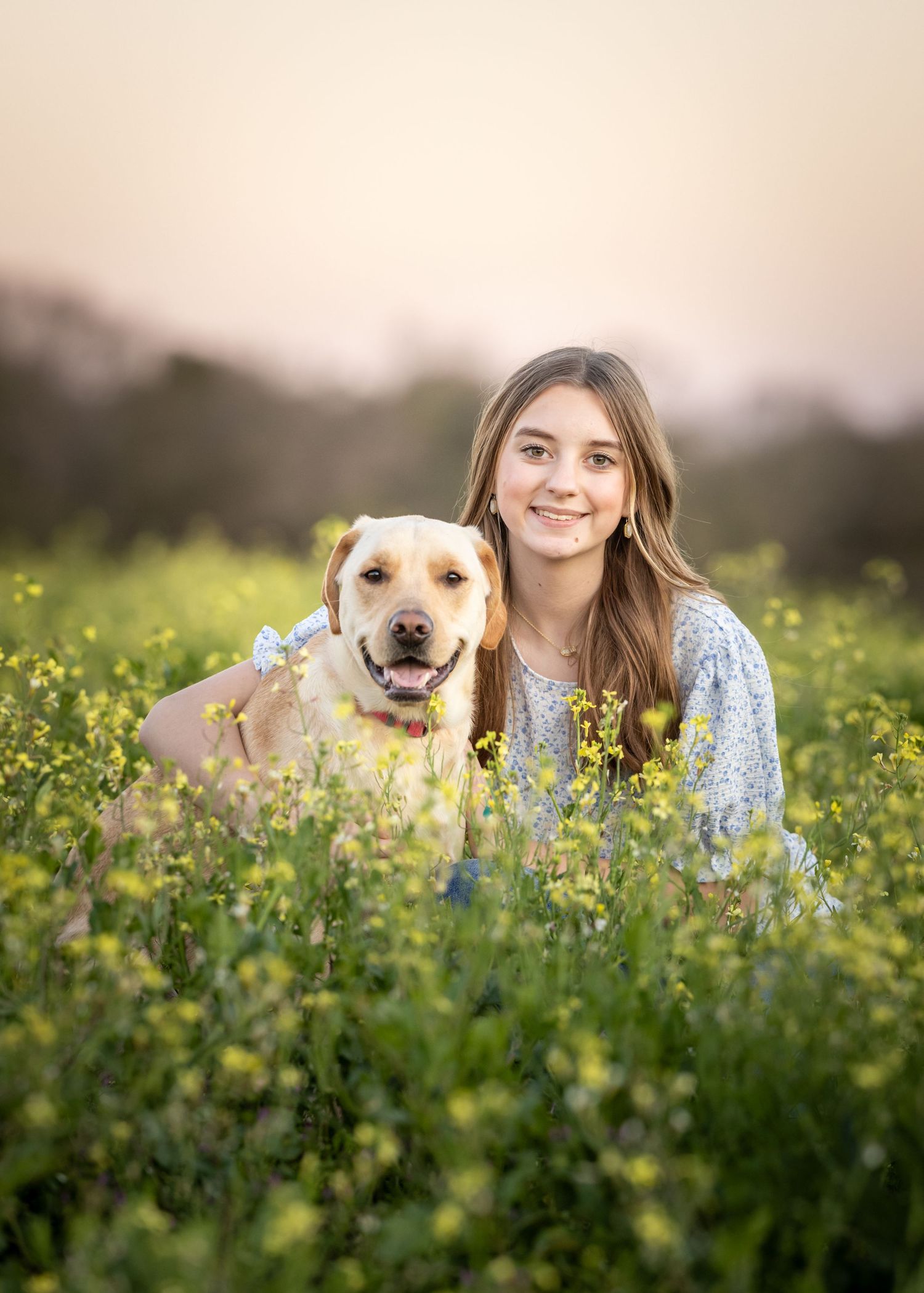 A yellow Labrador retriever and a person in a blue dress lying together in a blooming wildflower meadow at sunset.