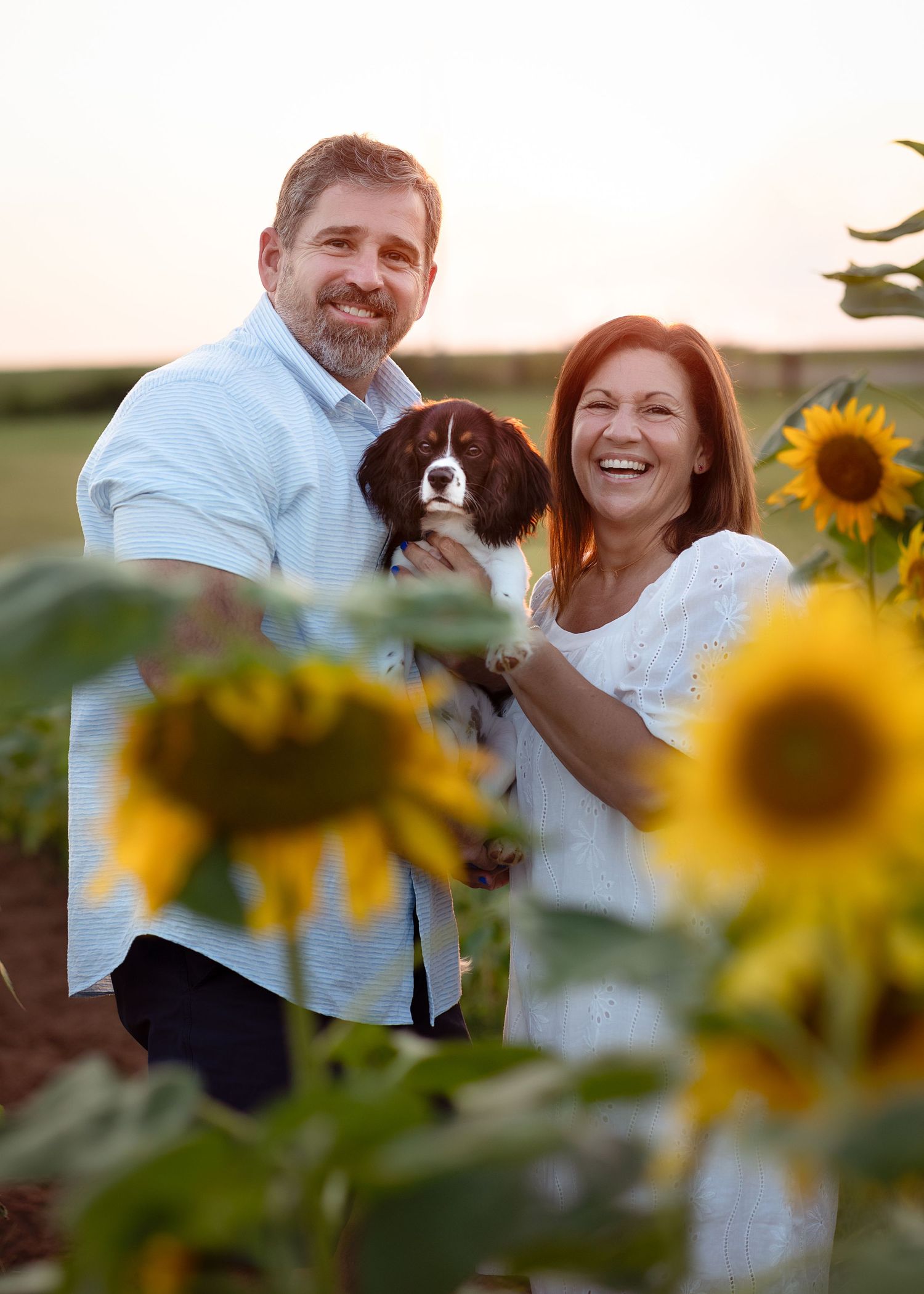 Couple with their dog laughs together in a sunflower field during sunset photography session.