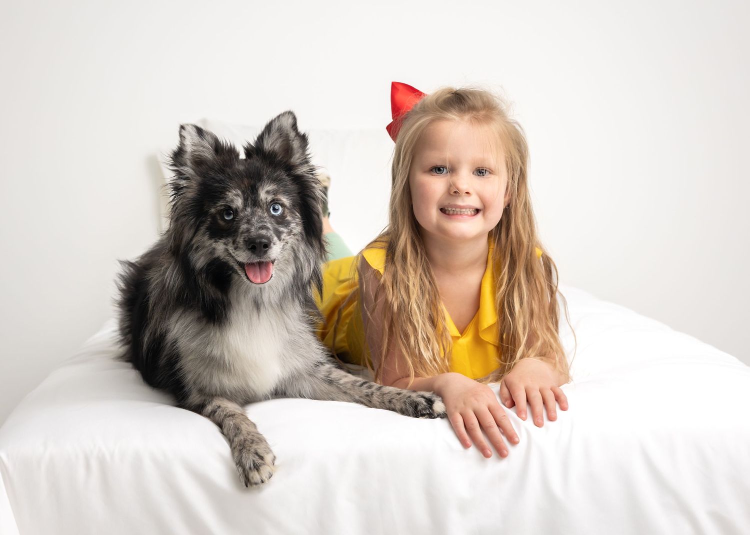 Fluffy grey dog and companion pose on white background.