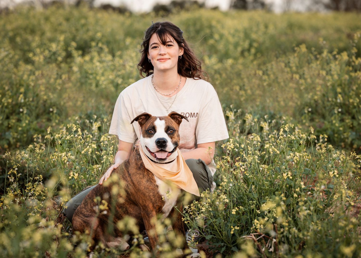 A happy brown and white dog wearing a yellow bandana sits in a wildflower meadow on a sunny day.