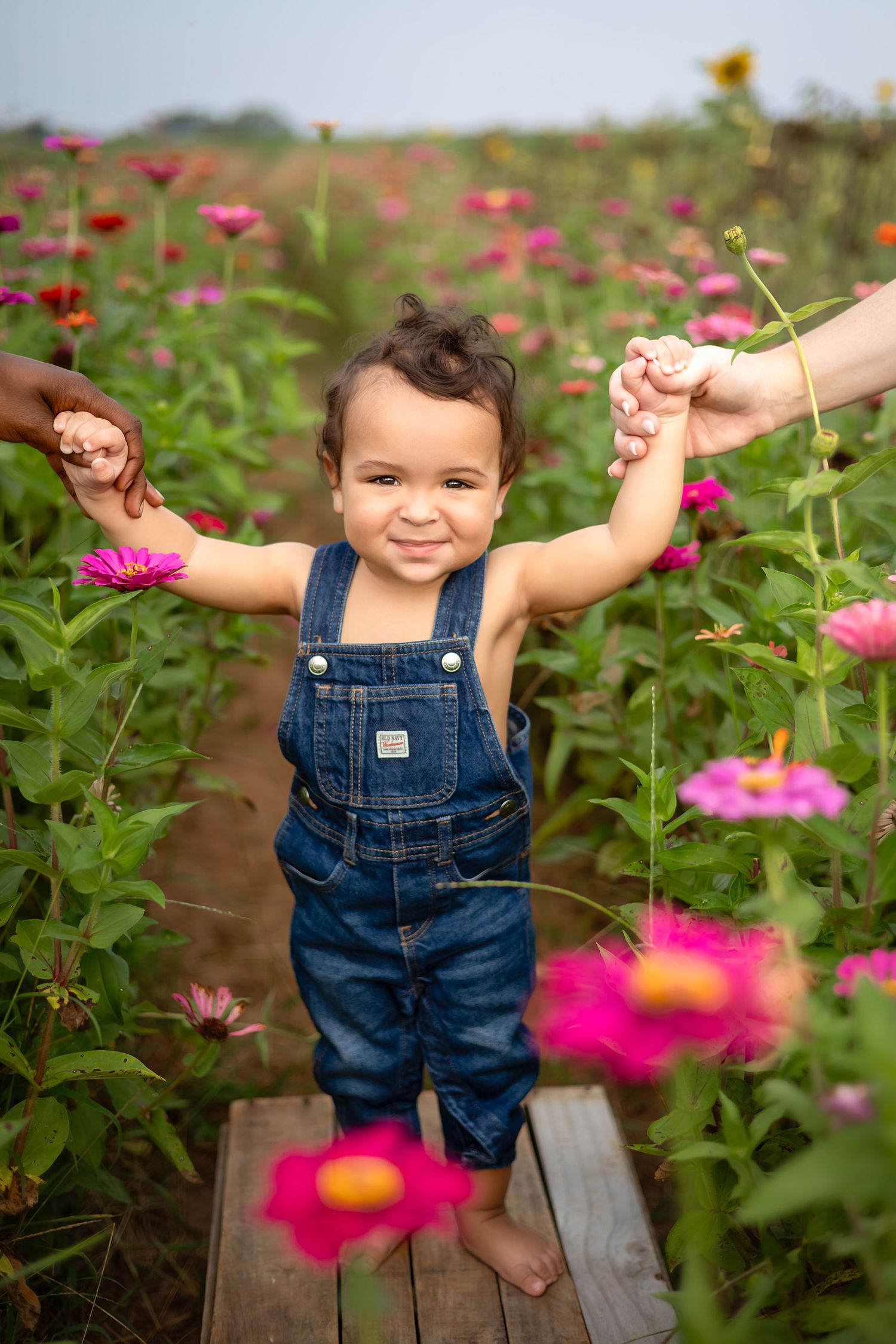 Child in denim overalls in zinnia garden posing for his first birthday photos.