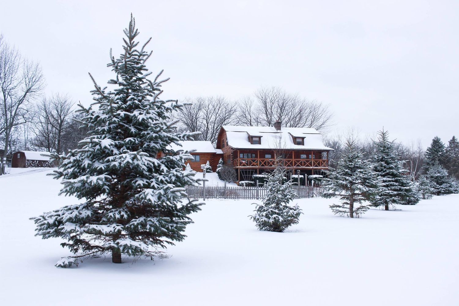 Snow-covered farmhouse with evergreen trees in winter, Finger Lakes New York homestead portrait photography, Soft Wild Light.