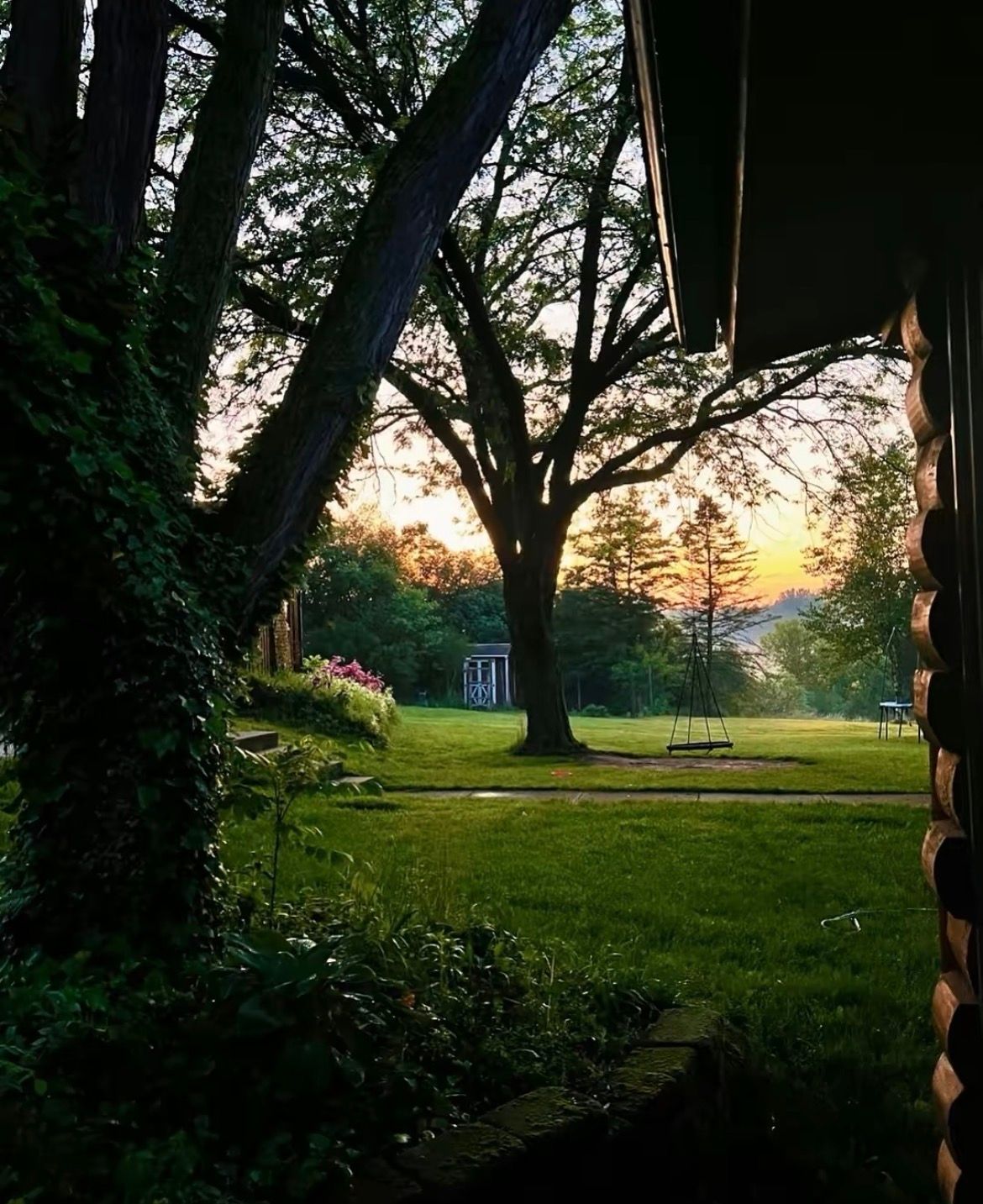 Golden hour light filtering through trees over a lush garden landscape, Finger Lakes NY outdoor portrait photography location.