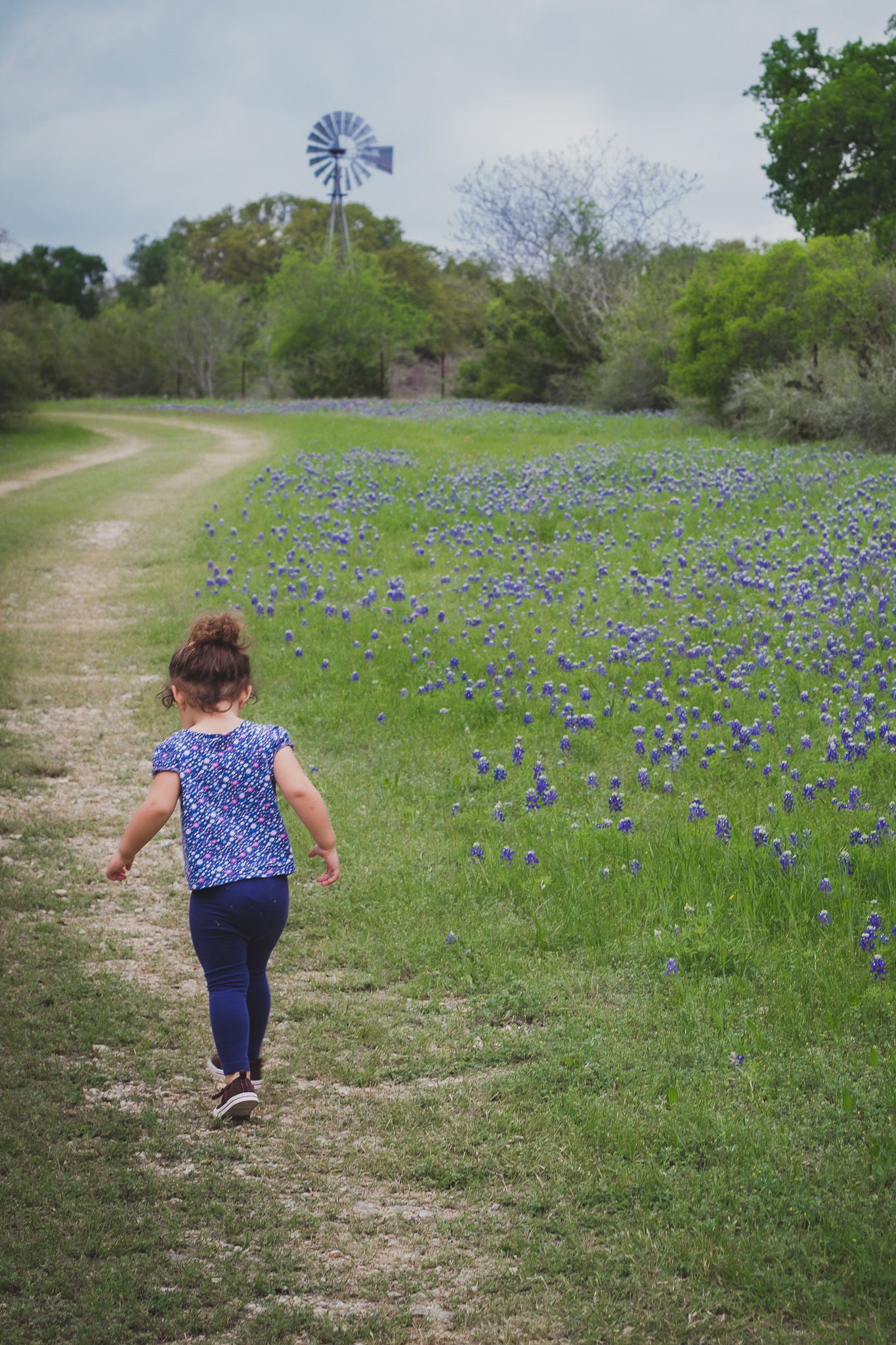 Child walking through a field of flowers toward a windmill, outdoor portrait, Finger Lakes New York, Michelle Lawson Photographer